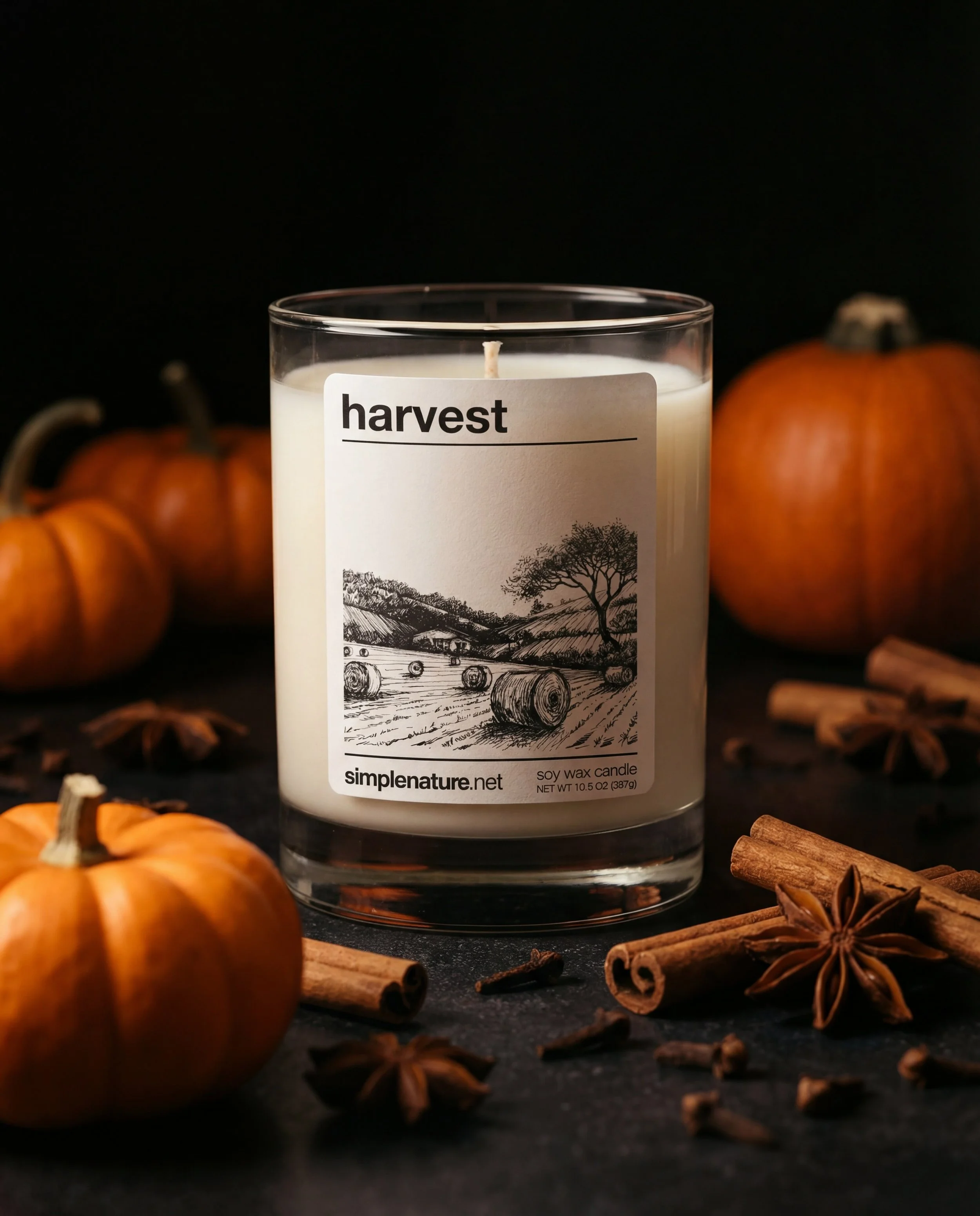 Harvest-Soy-Wax-Candle-Travel-Theme-Home-Decor-Long-Lasting-Safe-Fragrance-Fall-Autumn-Pumpkin.jpeg