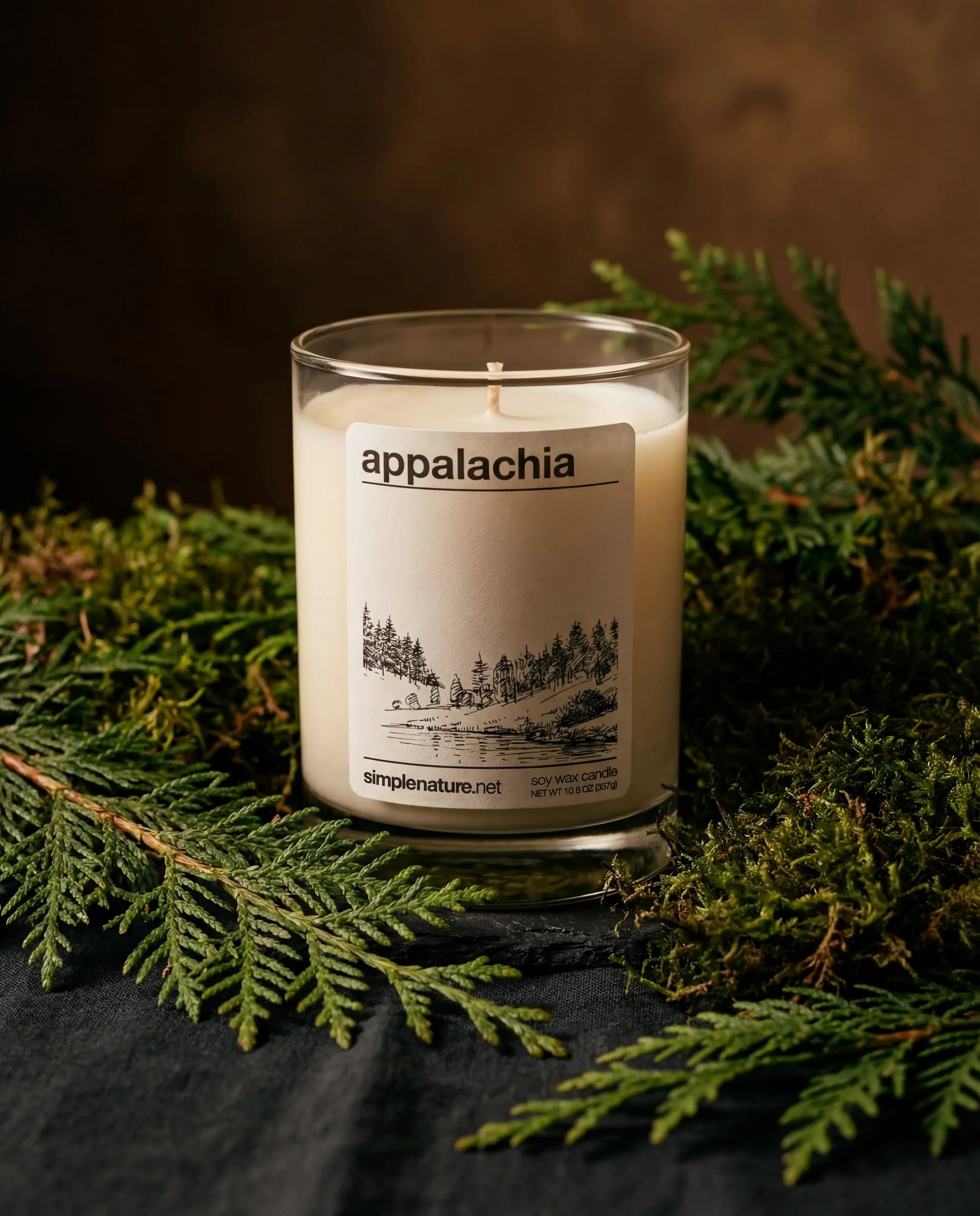 Appalachia-Soy-Wax-Candle-Fir-Travel-Home-Decor-2.jpeg