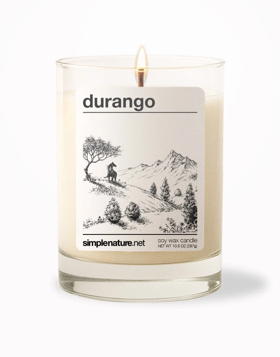 Durango Front On.jpeg