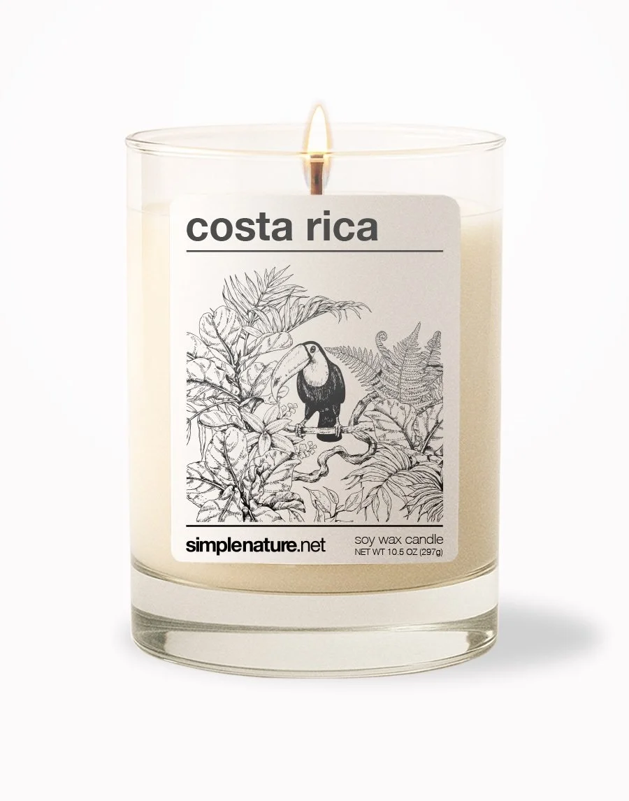 Costa Rica Front On.jpeg