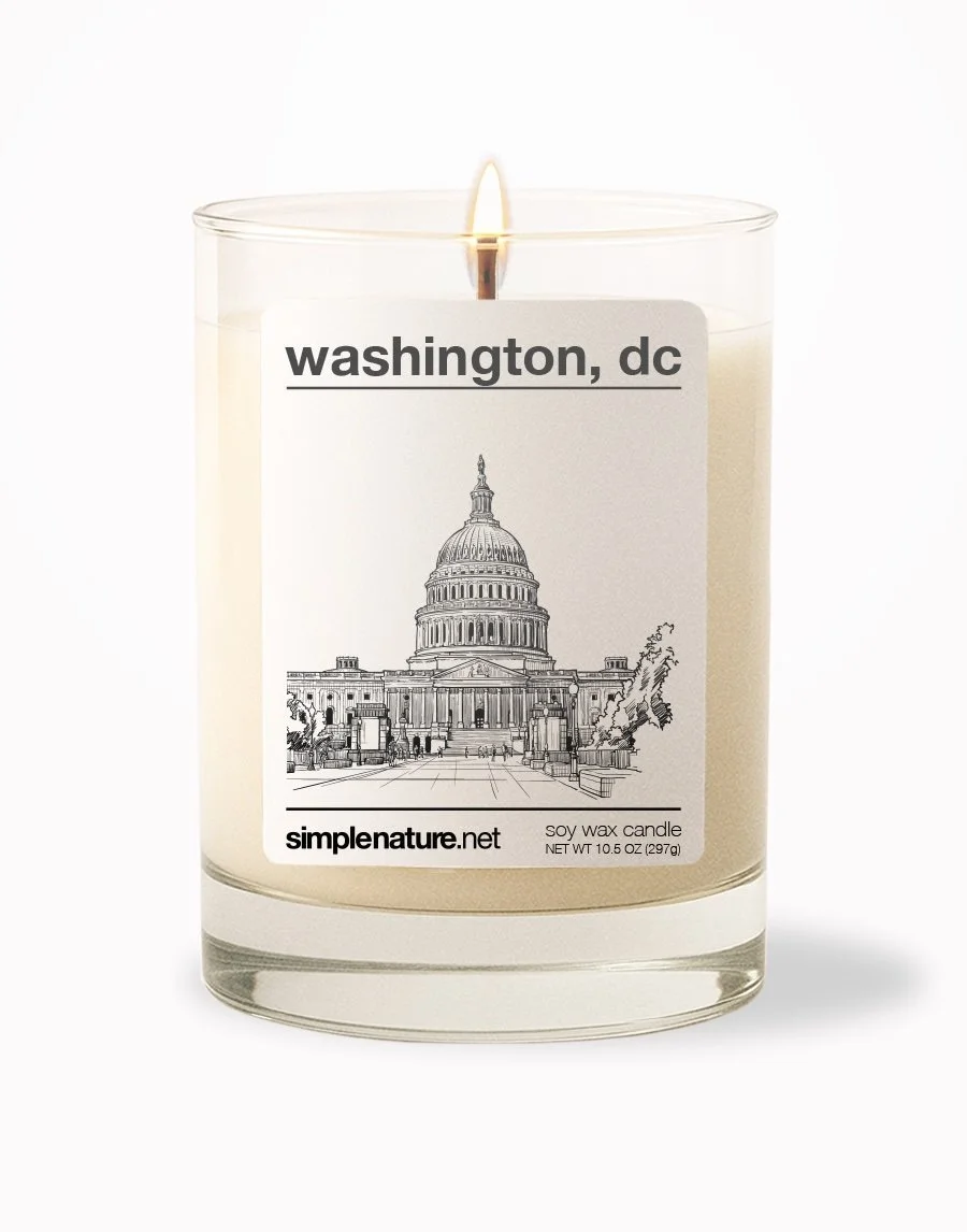 Washington DC Front On.jpeg