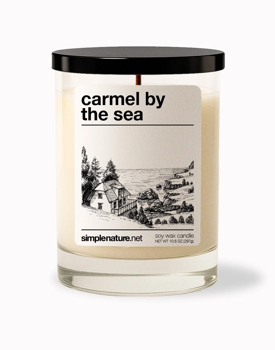 Carmel By the Sea Front Off.jpeg