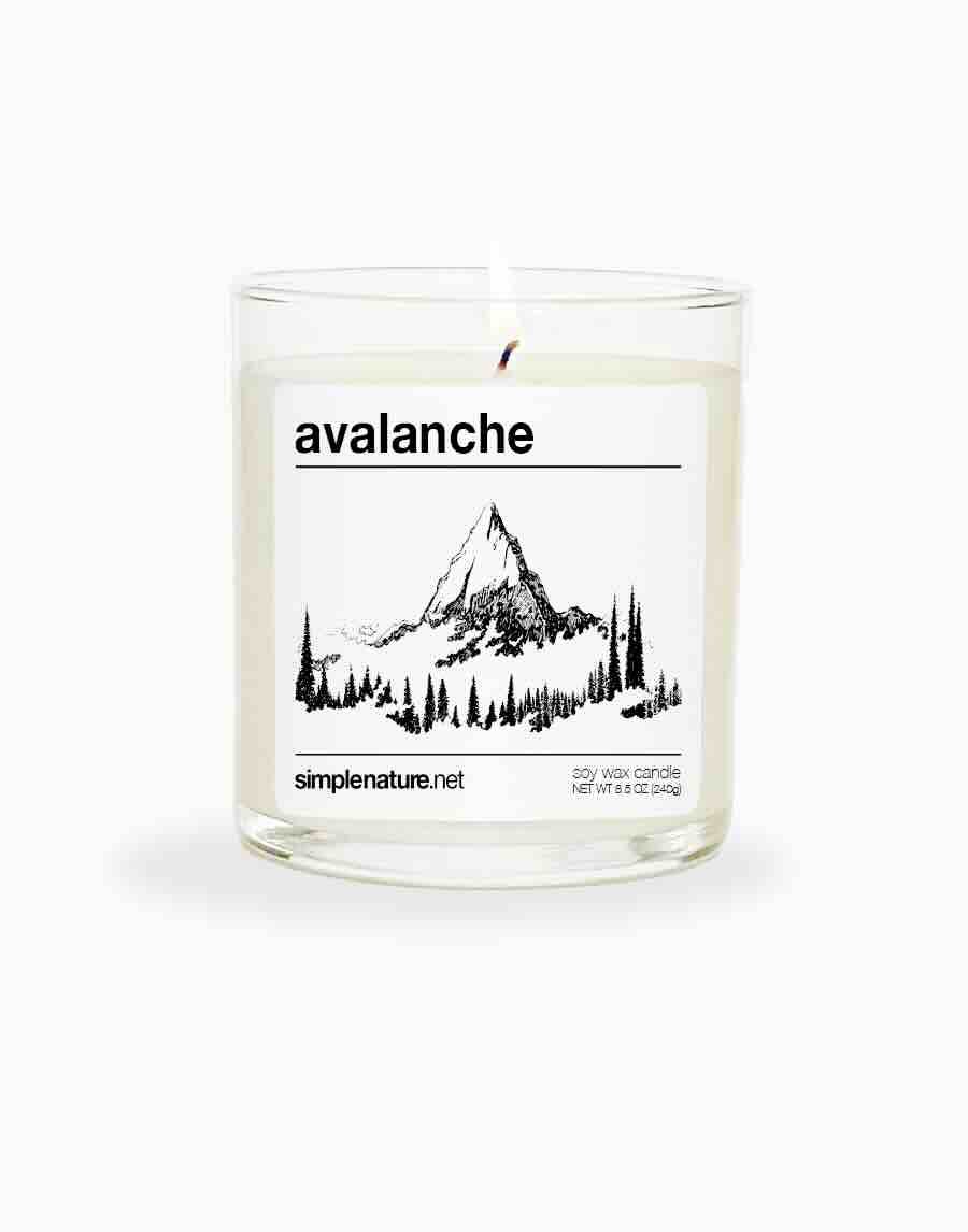 Avalanche Front On.jpeg