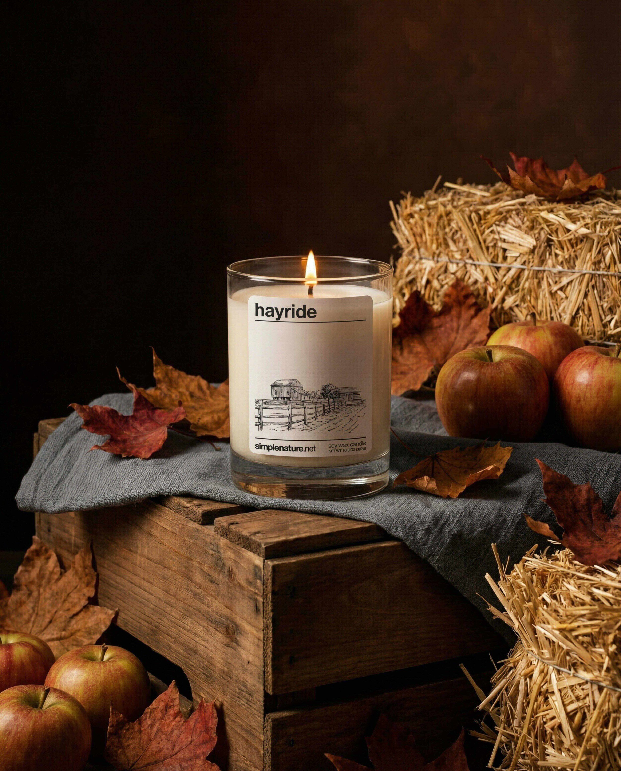 Hayride-Soy-Wax-Candle-Travel-Theme-Home-Decor-Long-Lasting-Safe-Fragrance-Fall-Autumn-Apples.jpeg