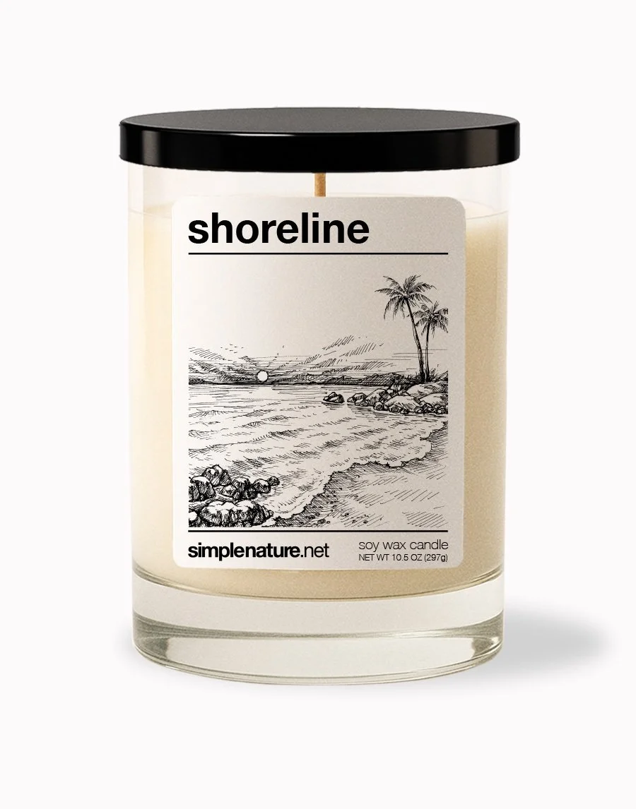 Shoreline Front Off.jpeg