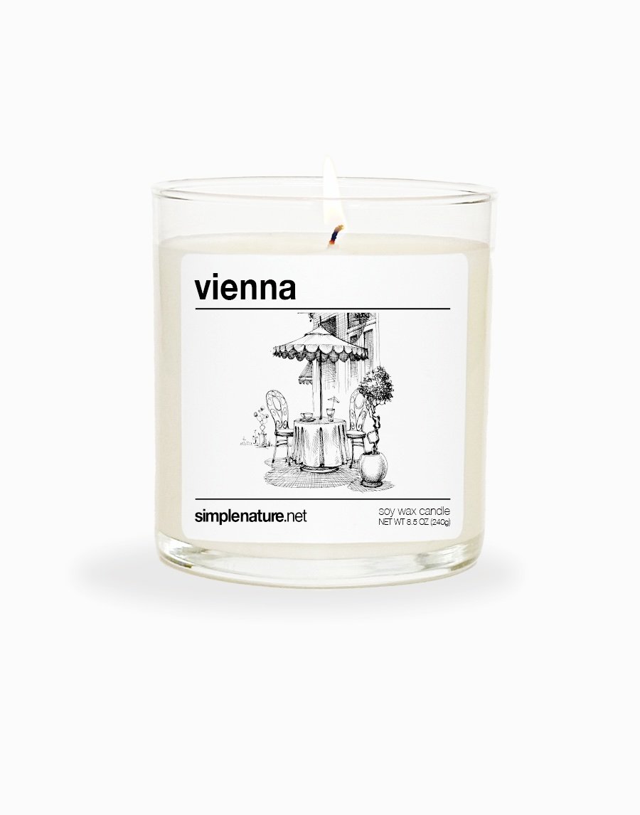 vienna front on.jpeg