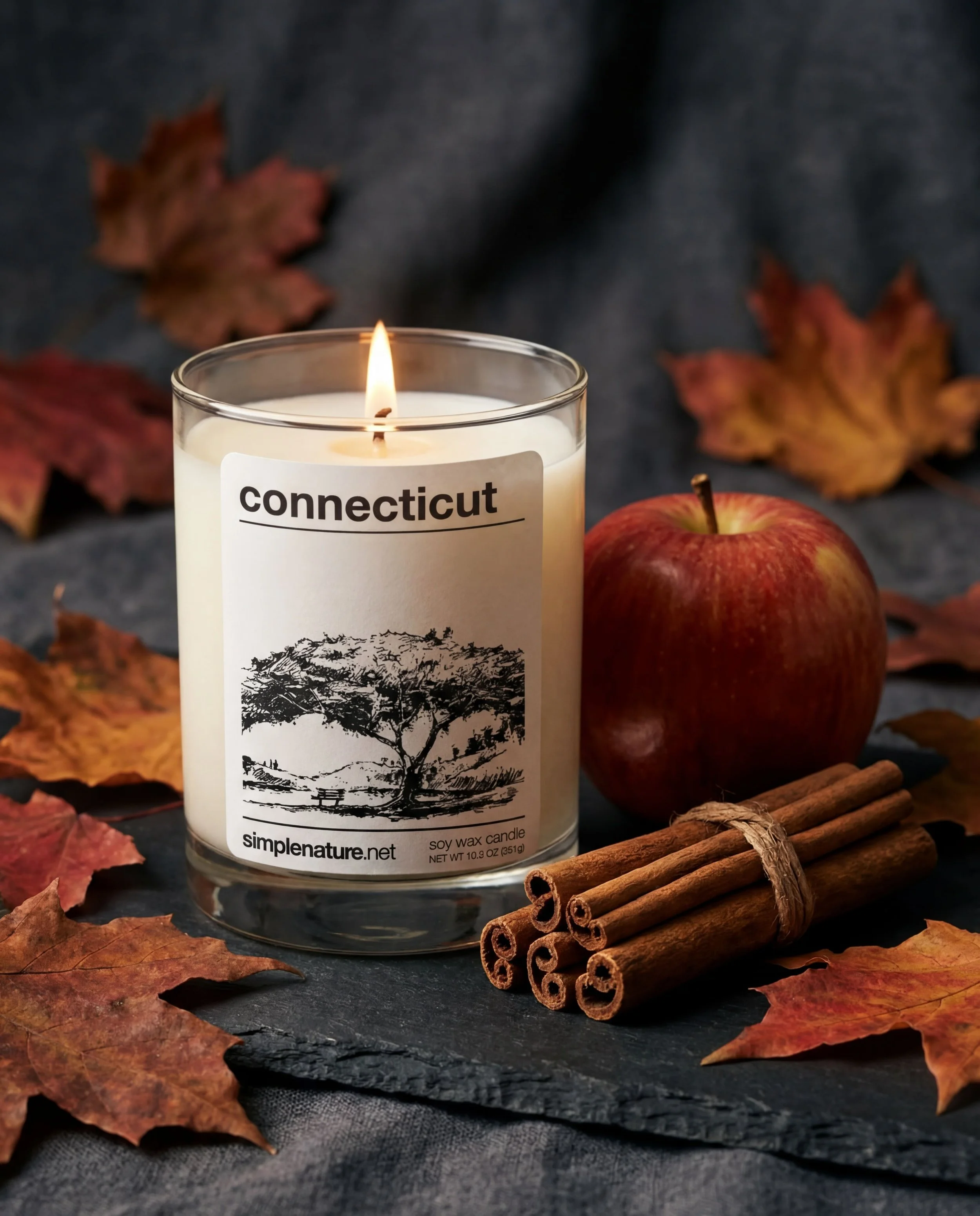 connecticut-travel-theme-soy-wax-candle-home-decor-clean-eco.jpeg
