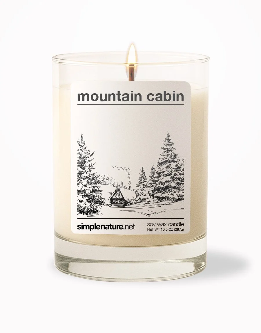 Mountain Cabin Front On.jpeg