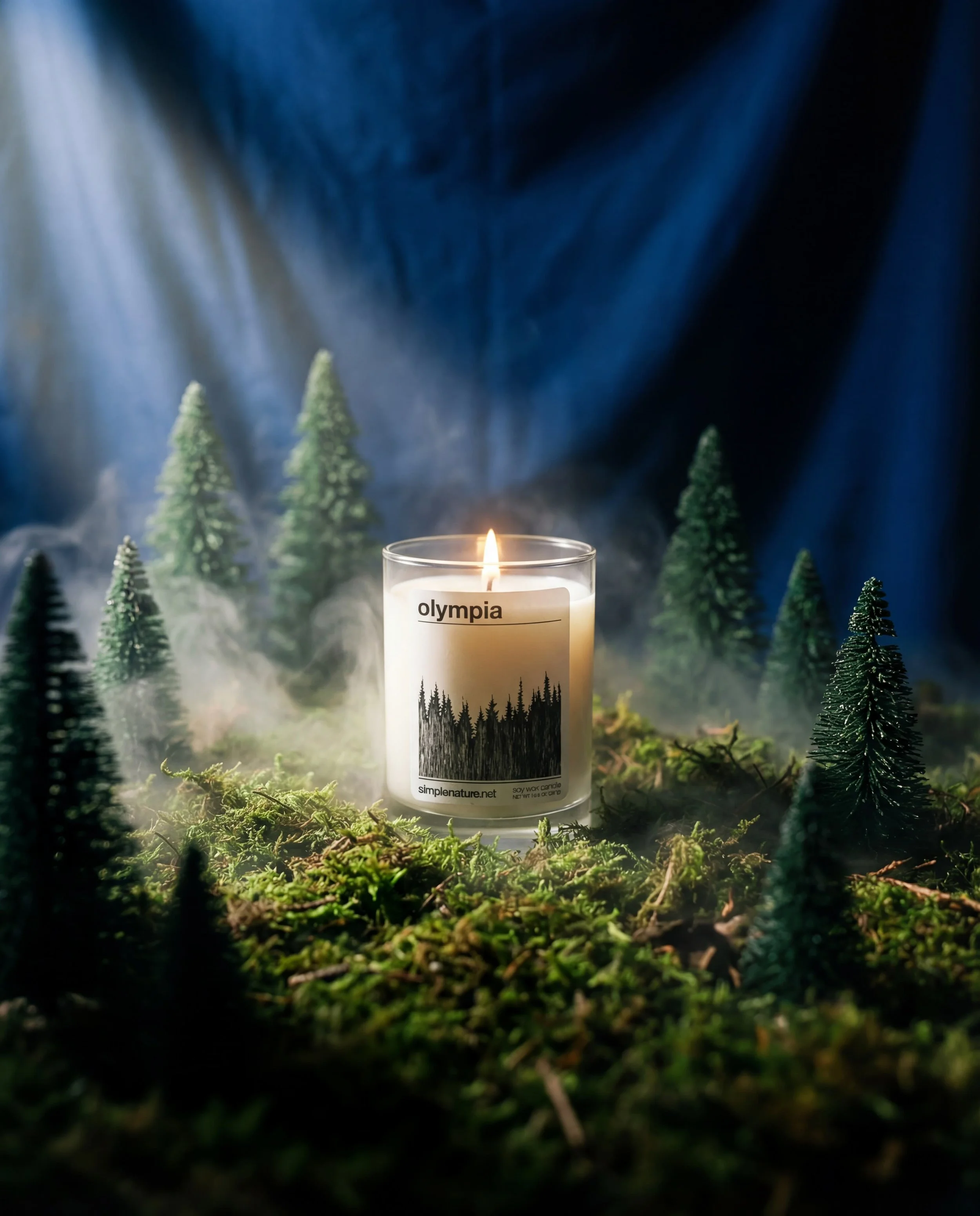 Olympia-Soy-Wax-Candle-Simple-Nature-Clean-Burning-Fragrant-Scented-Woody-National-Park-Travel-Home-Decor.jpeg
