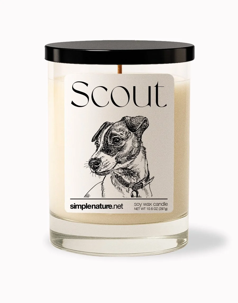 Scout Front Off.jpeg