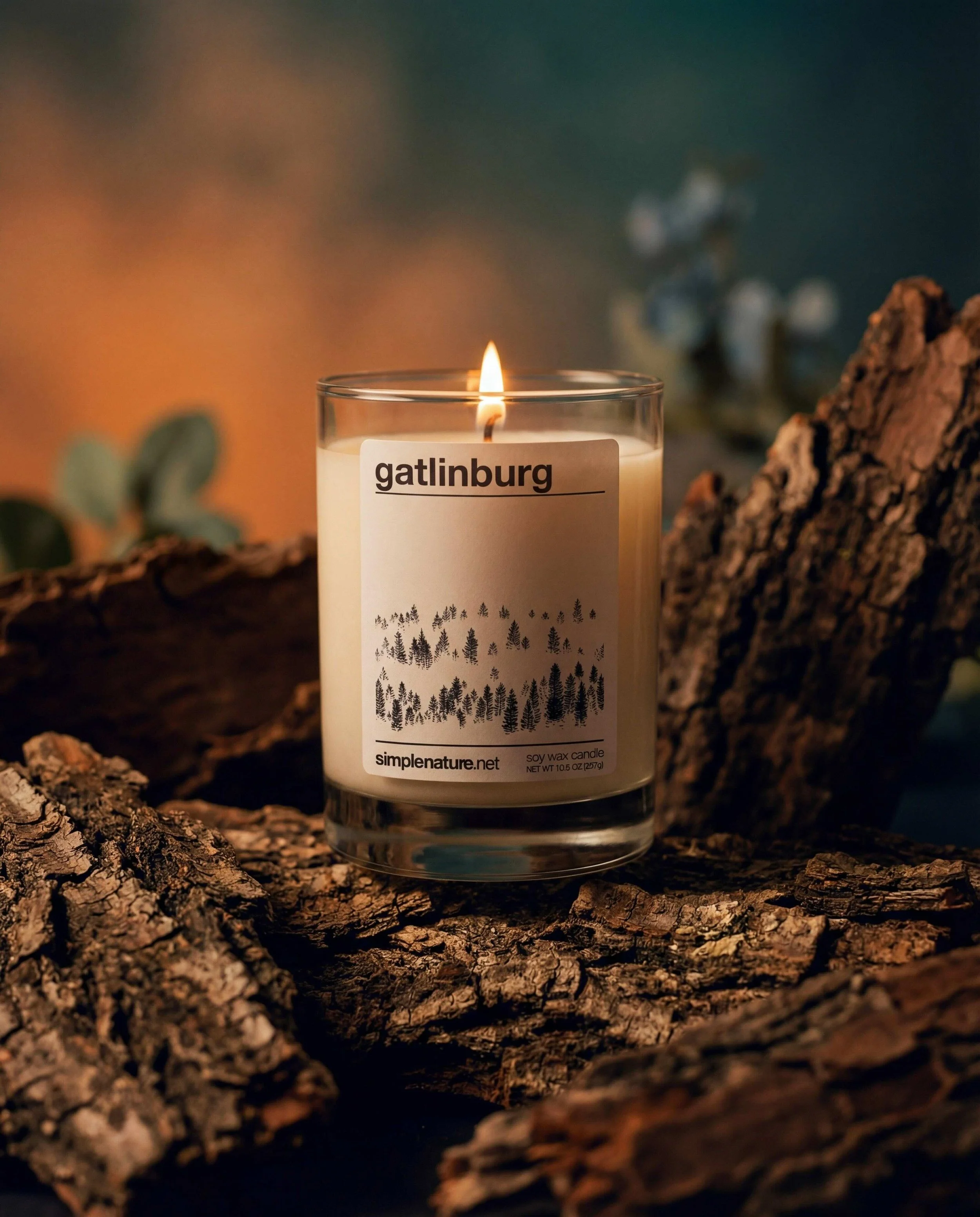Gatlinburg-Soy-Wax-Candle-Travel-Theme-Home-Decor-Long-Lasting-Safe-Fragrance-Woody-Smoke.jpeg