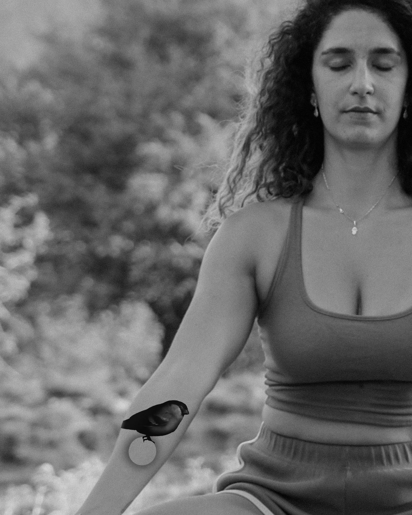 Untitled_Artwork 191.jpg