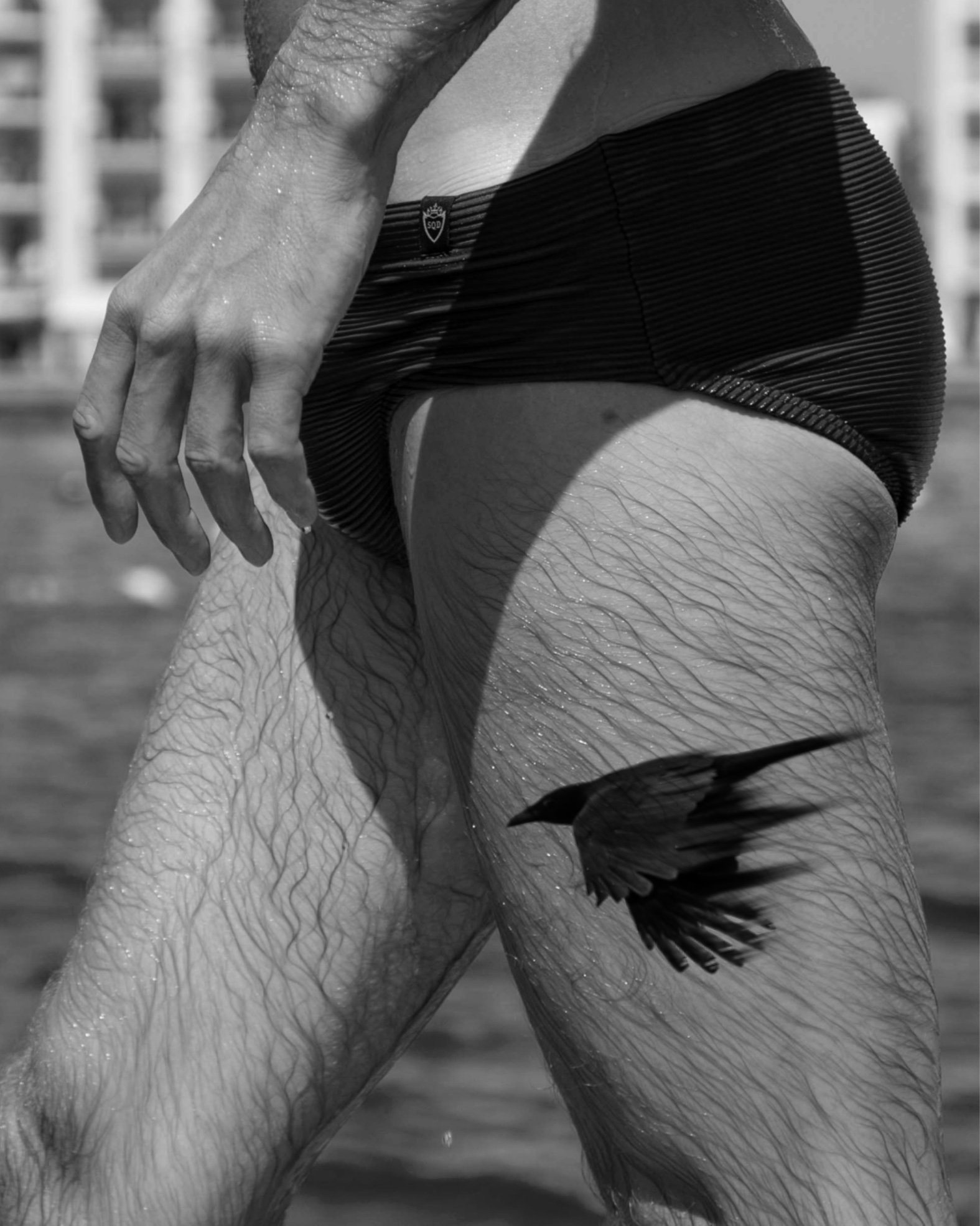 Untitled_Artwork 199.jpg