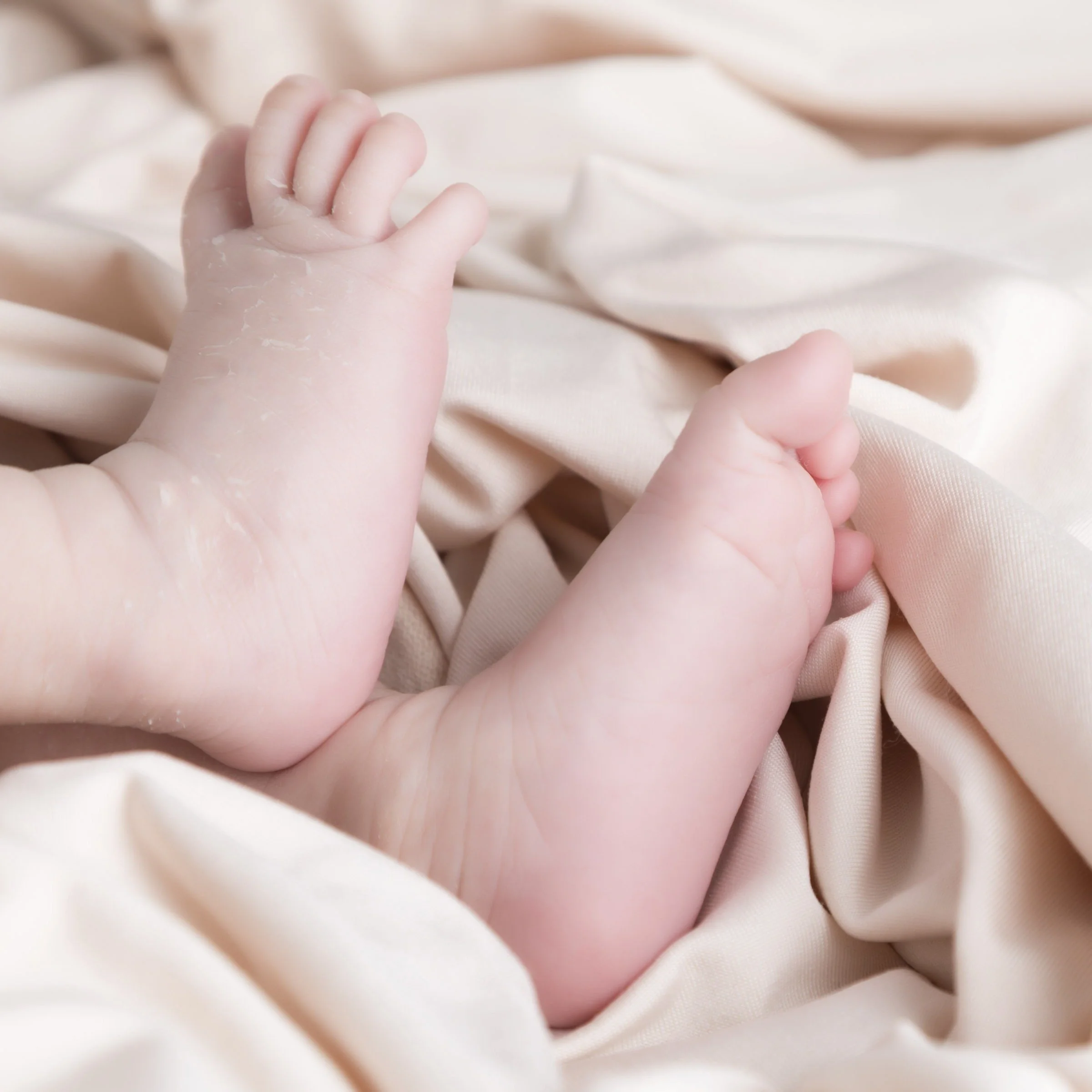 Newborn feet