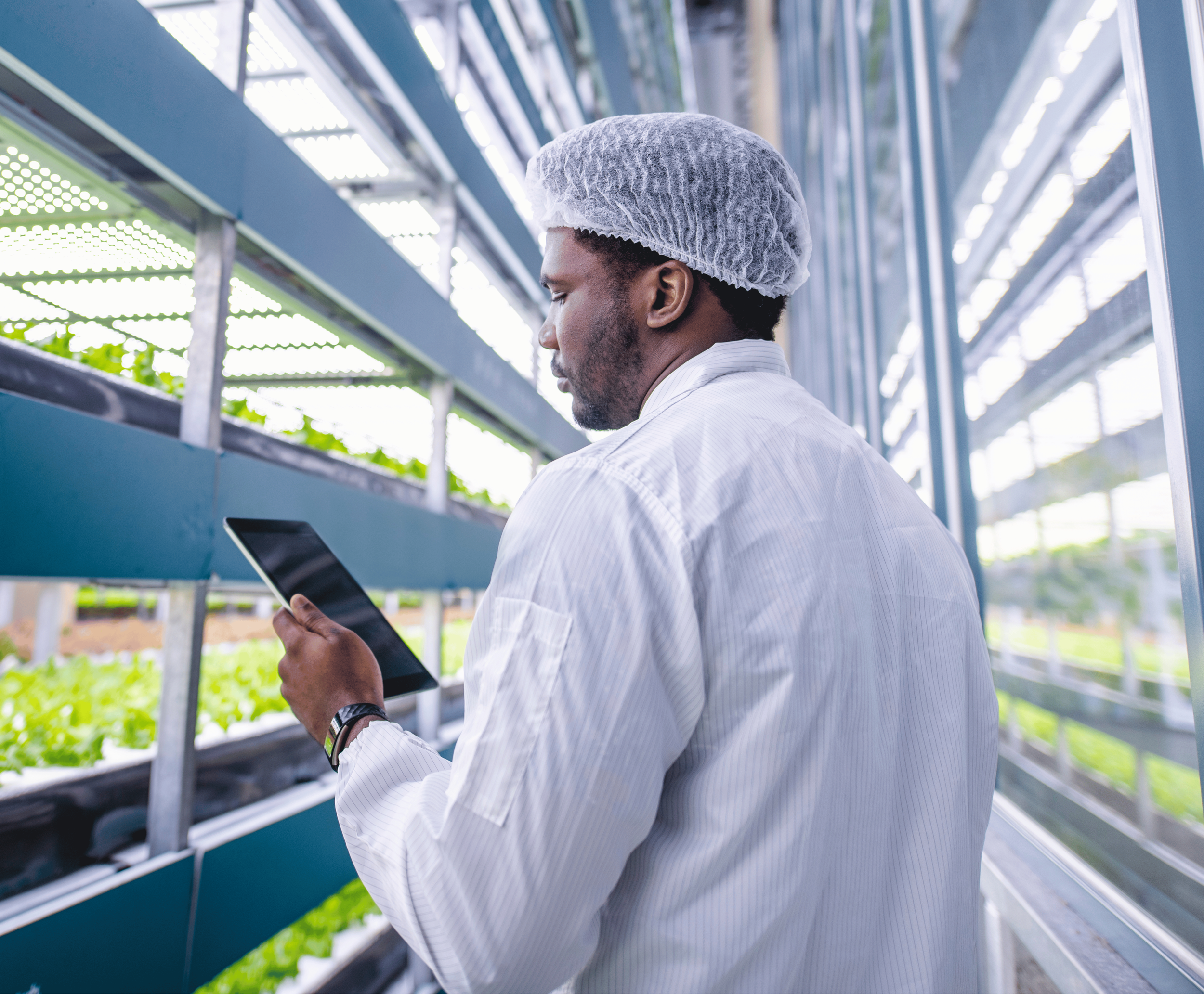 Vertical_farming_Panafrican_Commodities