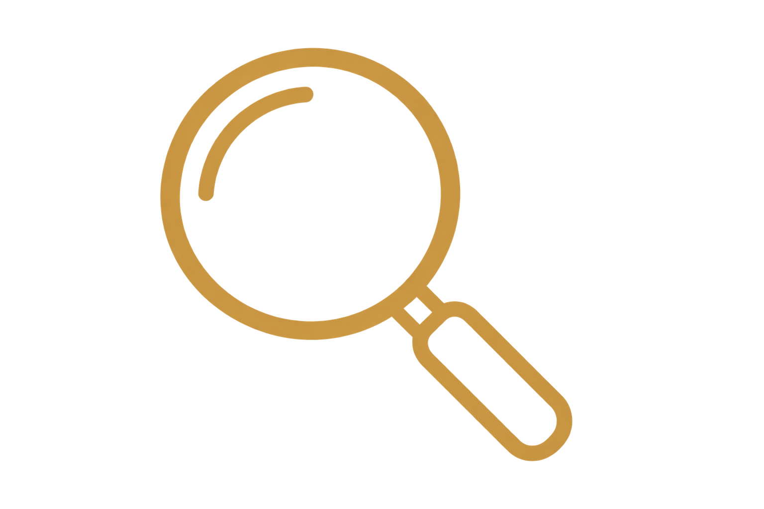 Understanding the brand and opportunity