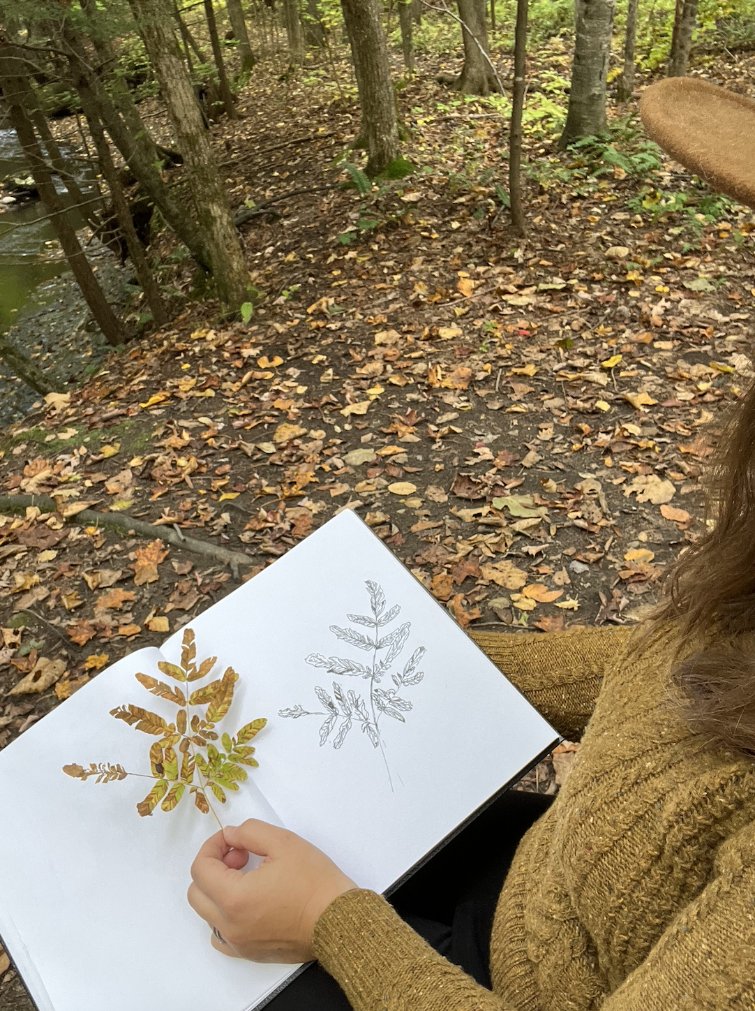 Screen Shot 2023-05-02 at 1.23.24 AM.png