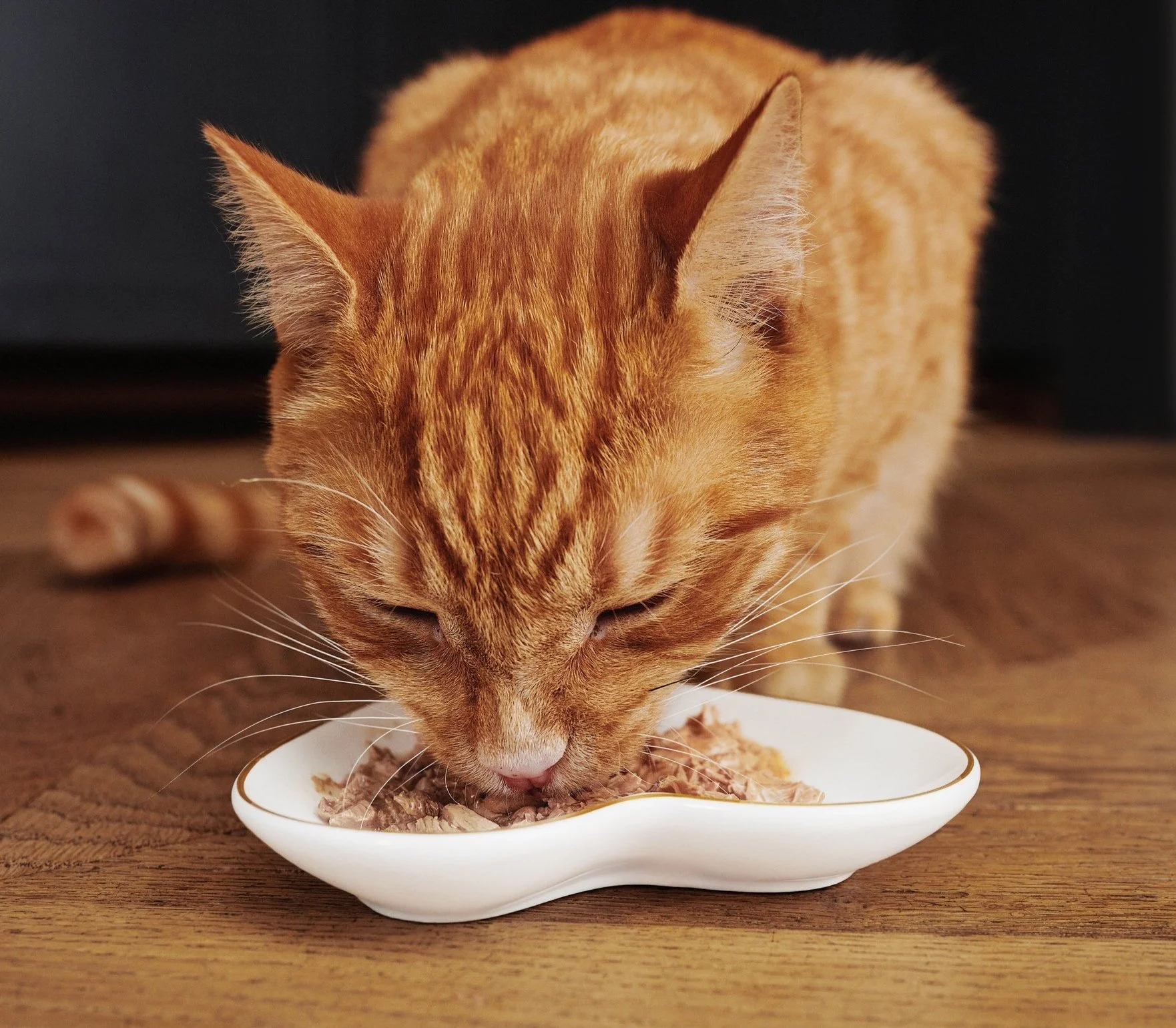 24A130CB 02D FAN_SHOT_01_131_RD2.jpg