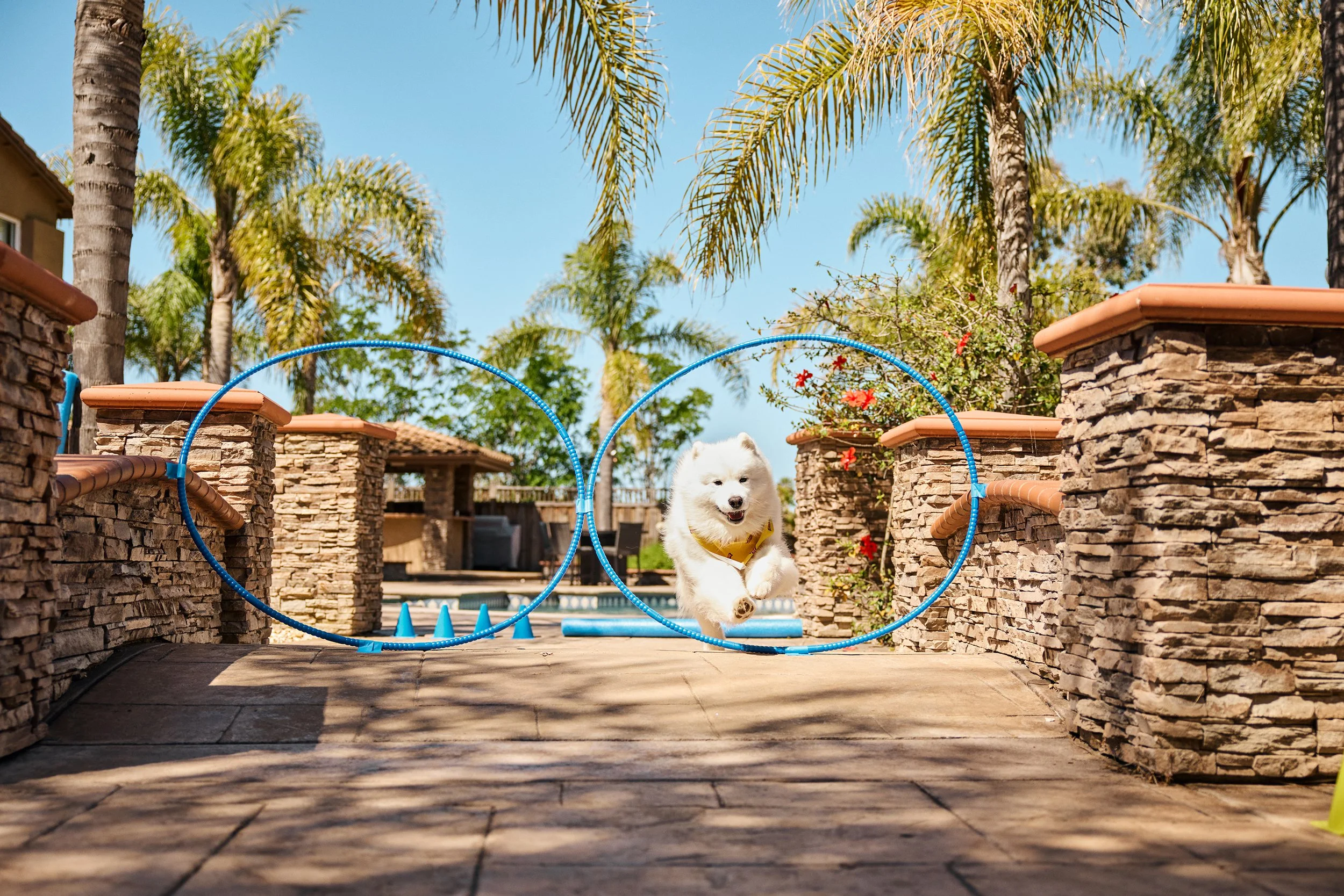 2024-05-09_Obstacle Course-0909_FNL.jpg