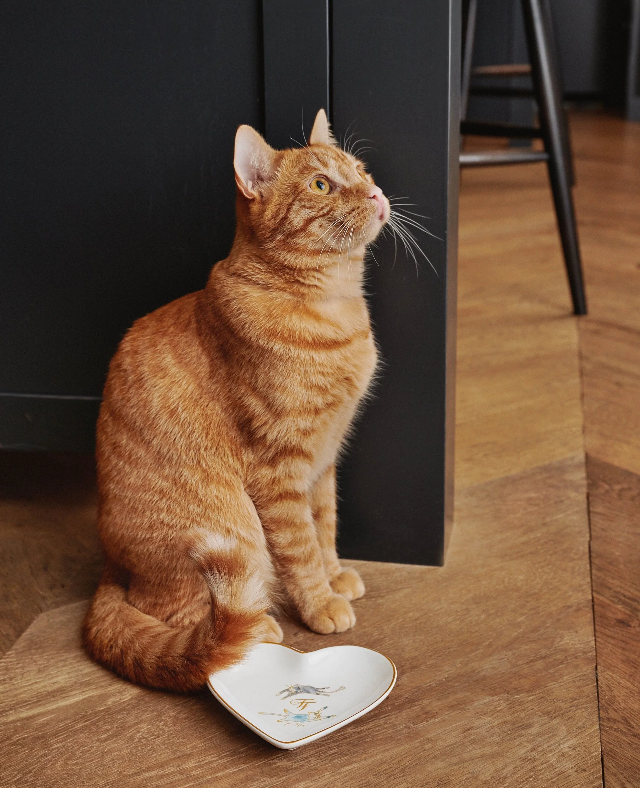 24A130CB 01D FAN_SHOT_01_021_RD2.jpg