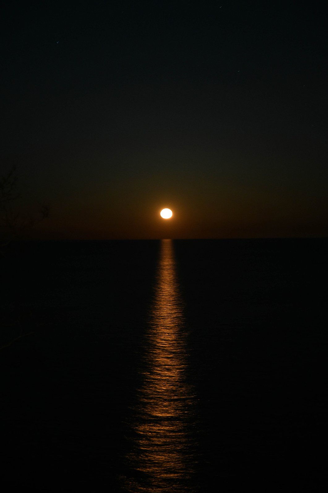 DSC_6951.jpg