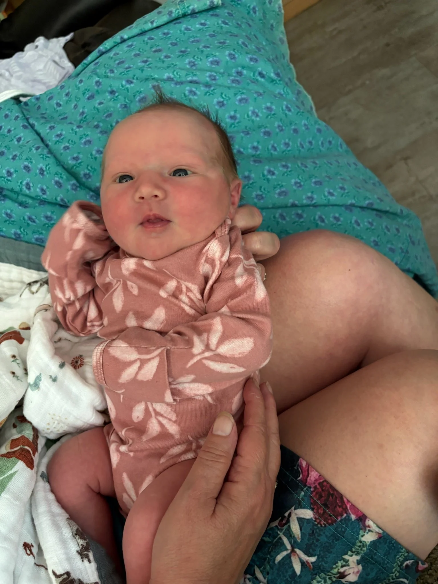  A new grand niece! 