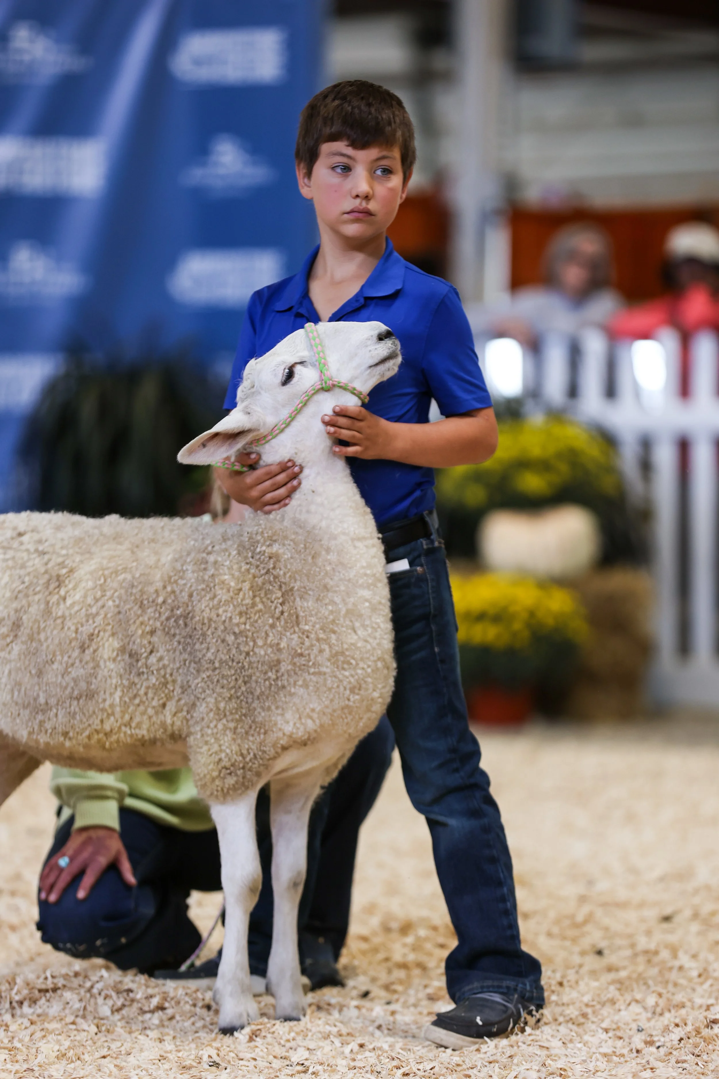  Colby at Eastern States Exposition. Photo credit KAK images. 