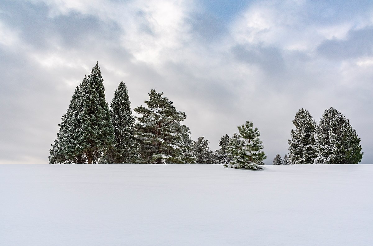 Carte de souhaits « Paysage hivernal »