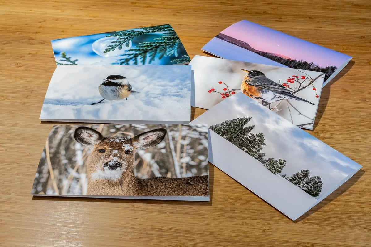 Ensemble de 6 cartes de souhaits