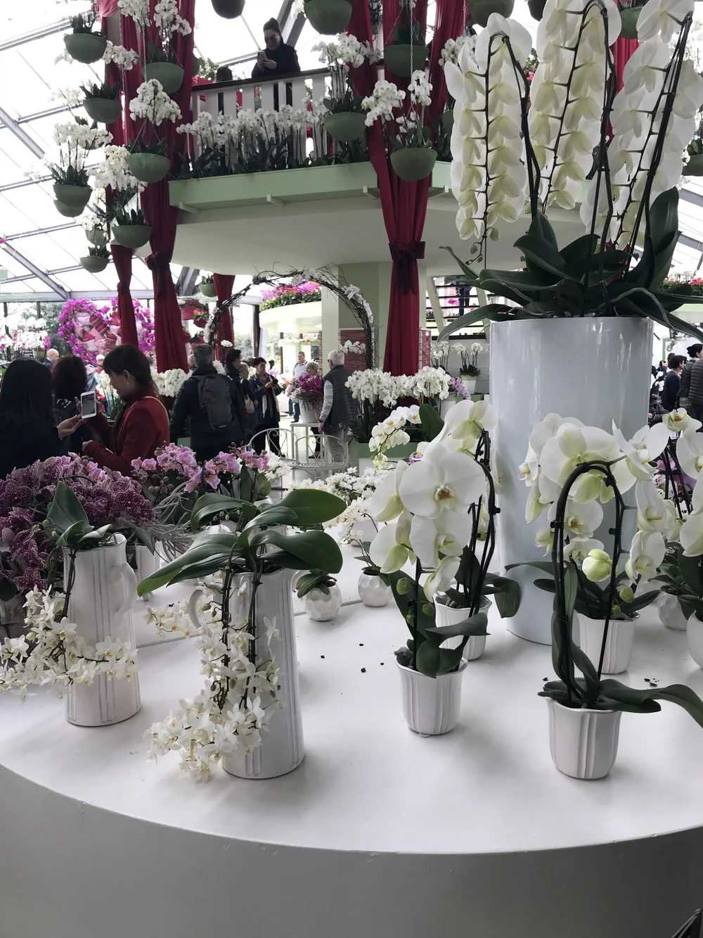 2018-04-08 16.06.02.jpg