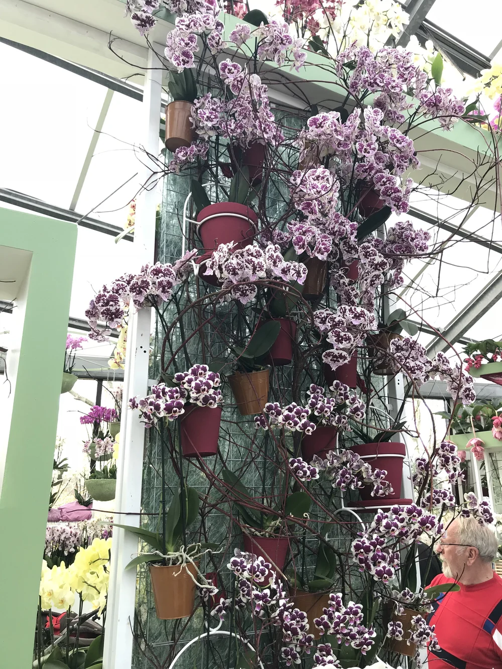 2018-04-08 16.06.57.jpg