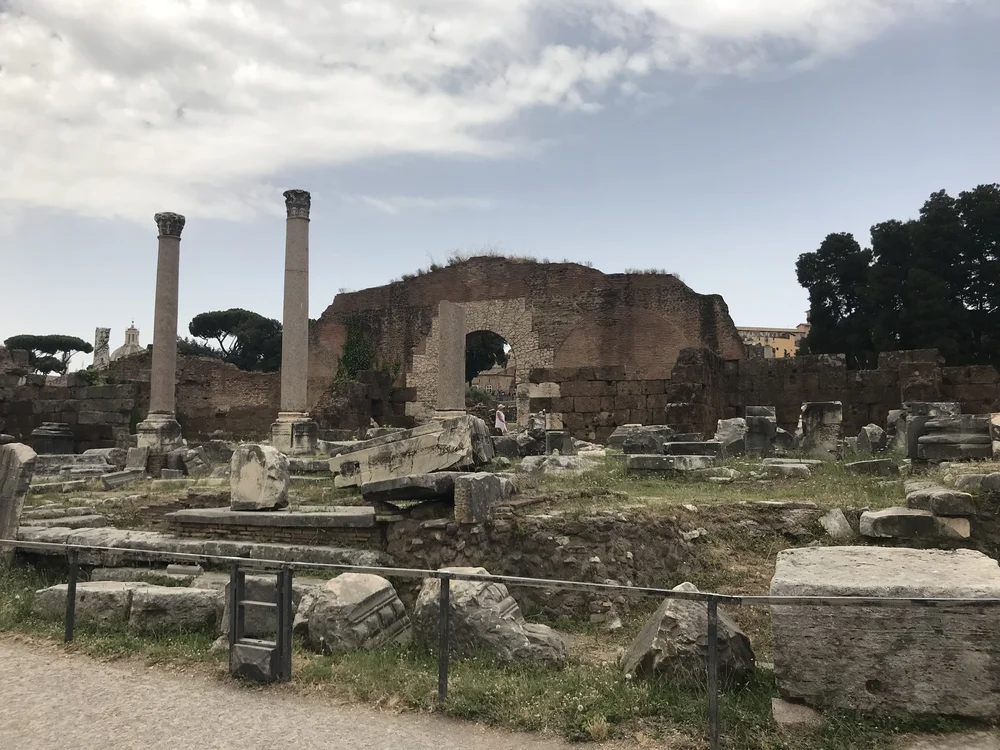 2018-07-14 14.22.37.jpg