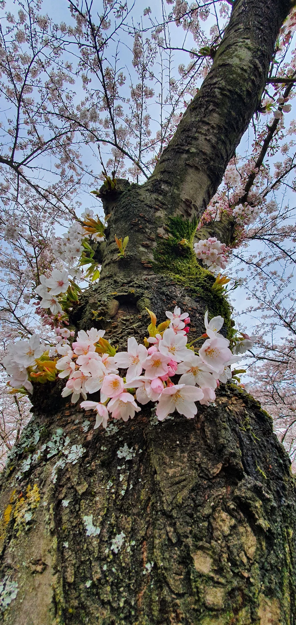 2022-03-20 10.37.29.jpg