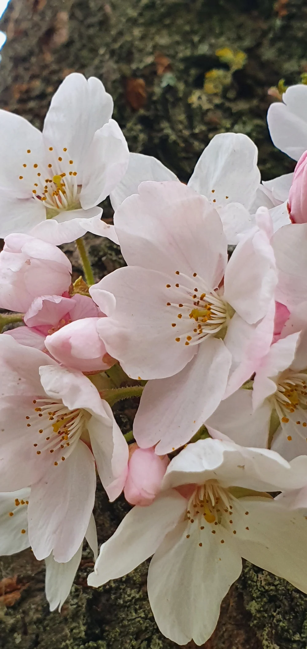 2022-03-20 10.40.26.jpg