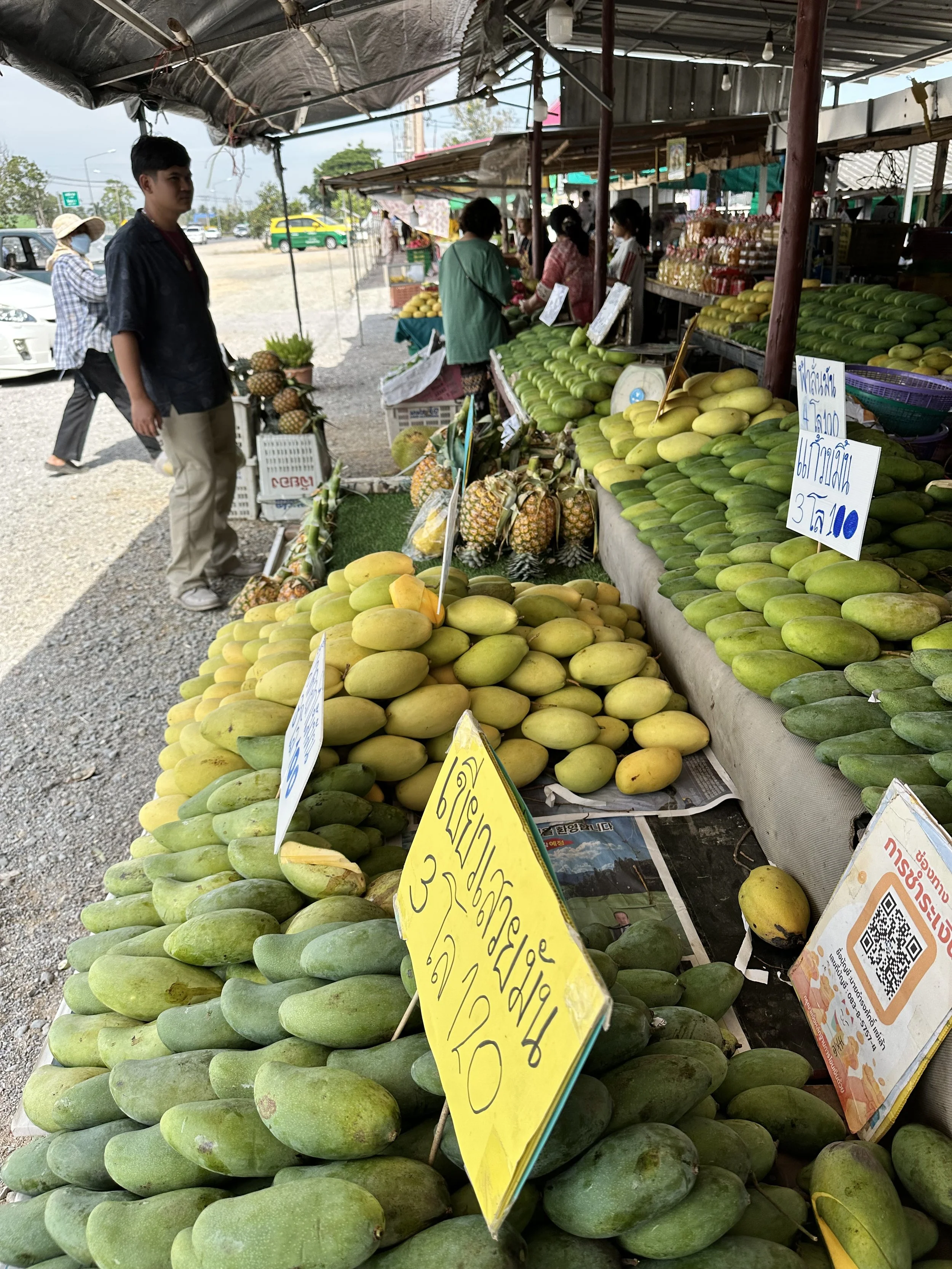 Fruit stall of mangoes in Thailand.