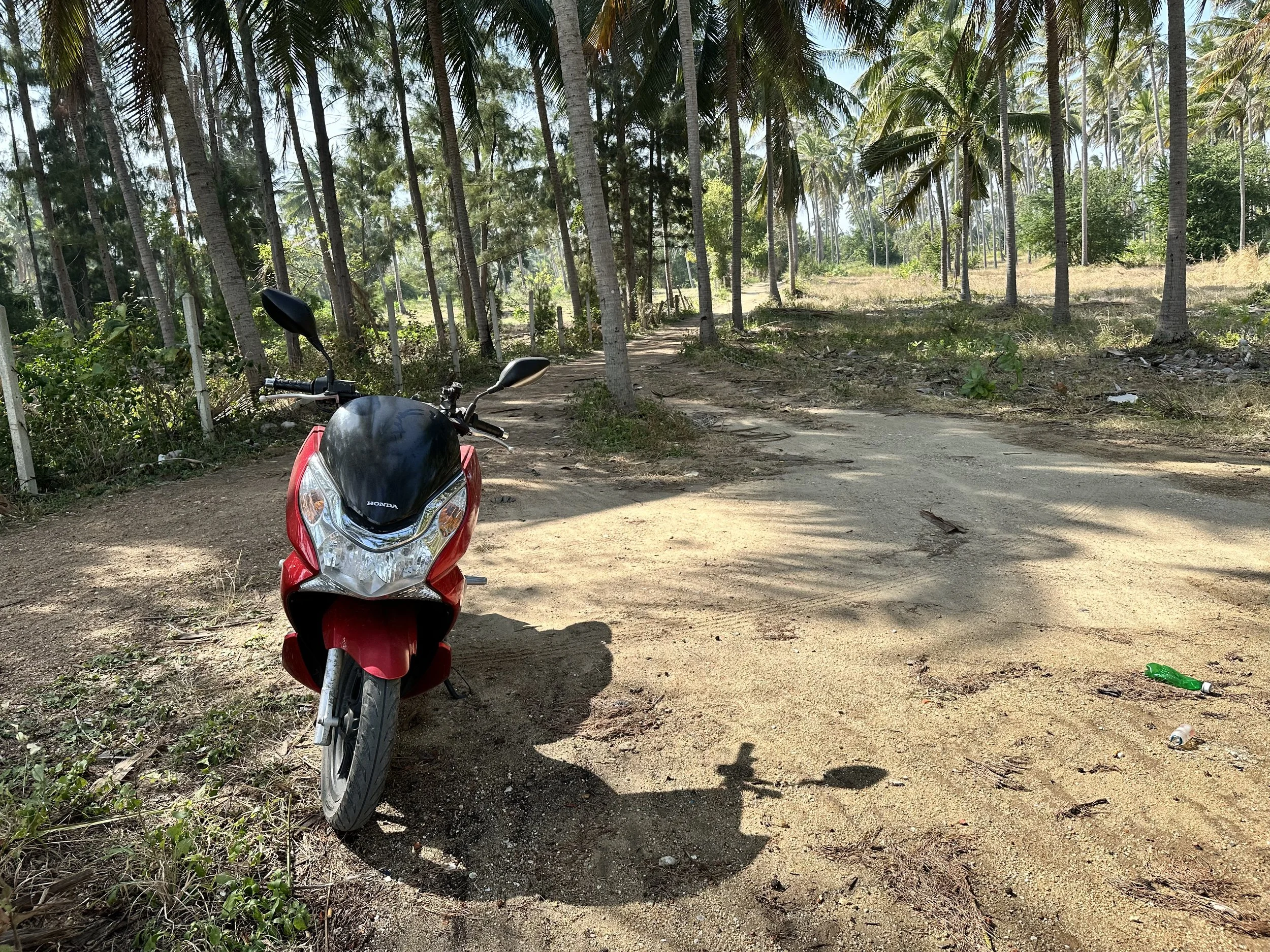Quiet countryside roads and palm trees. 