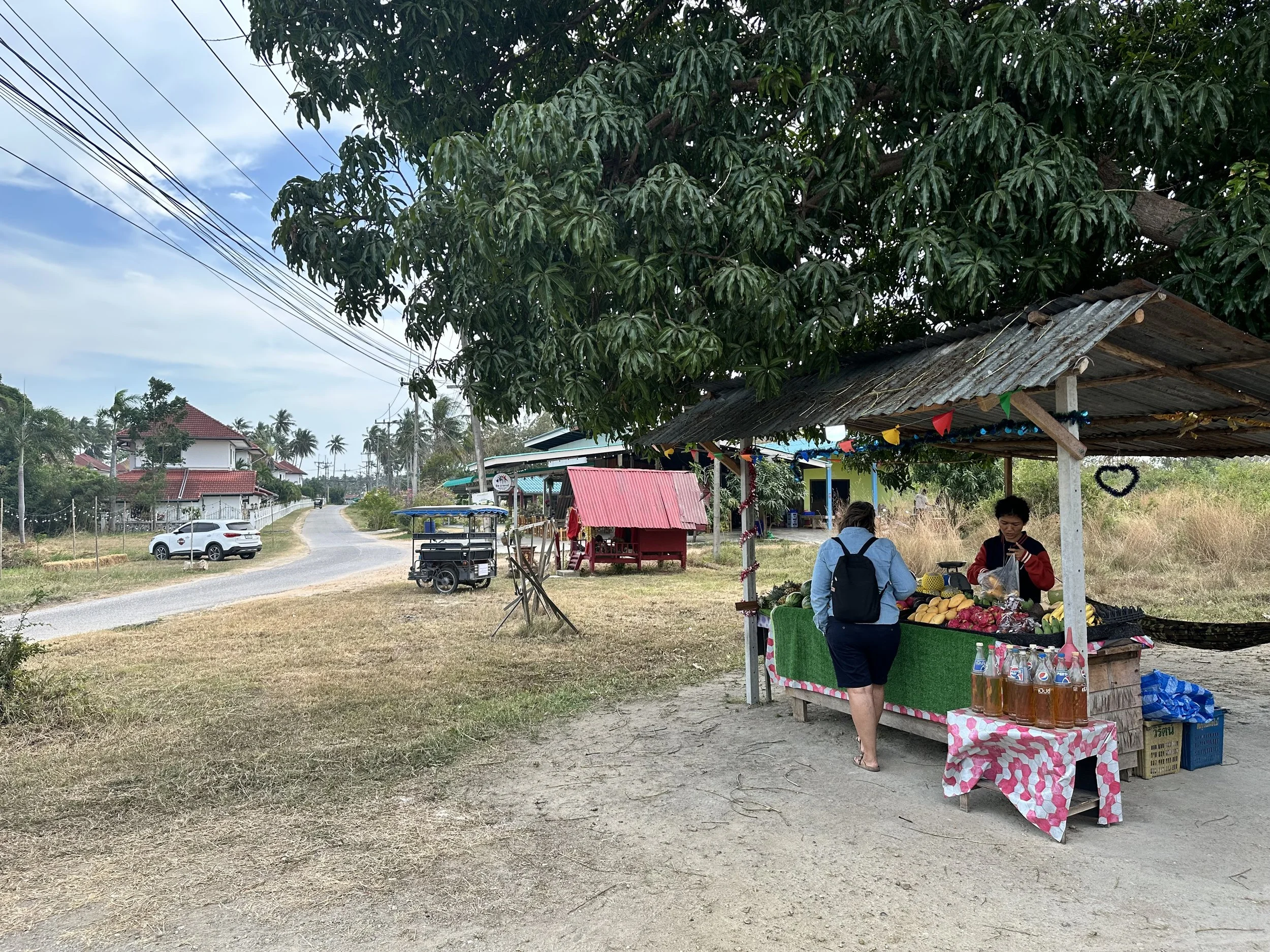 Fruit stall in Huay Yang. 
