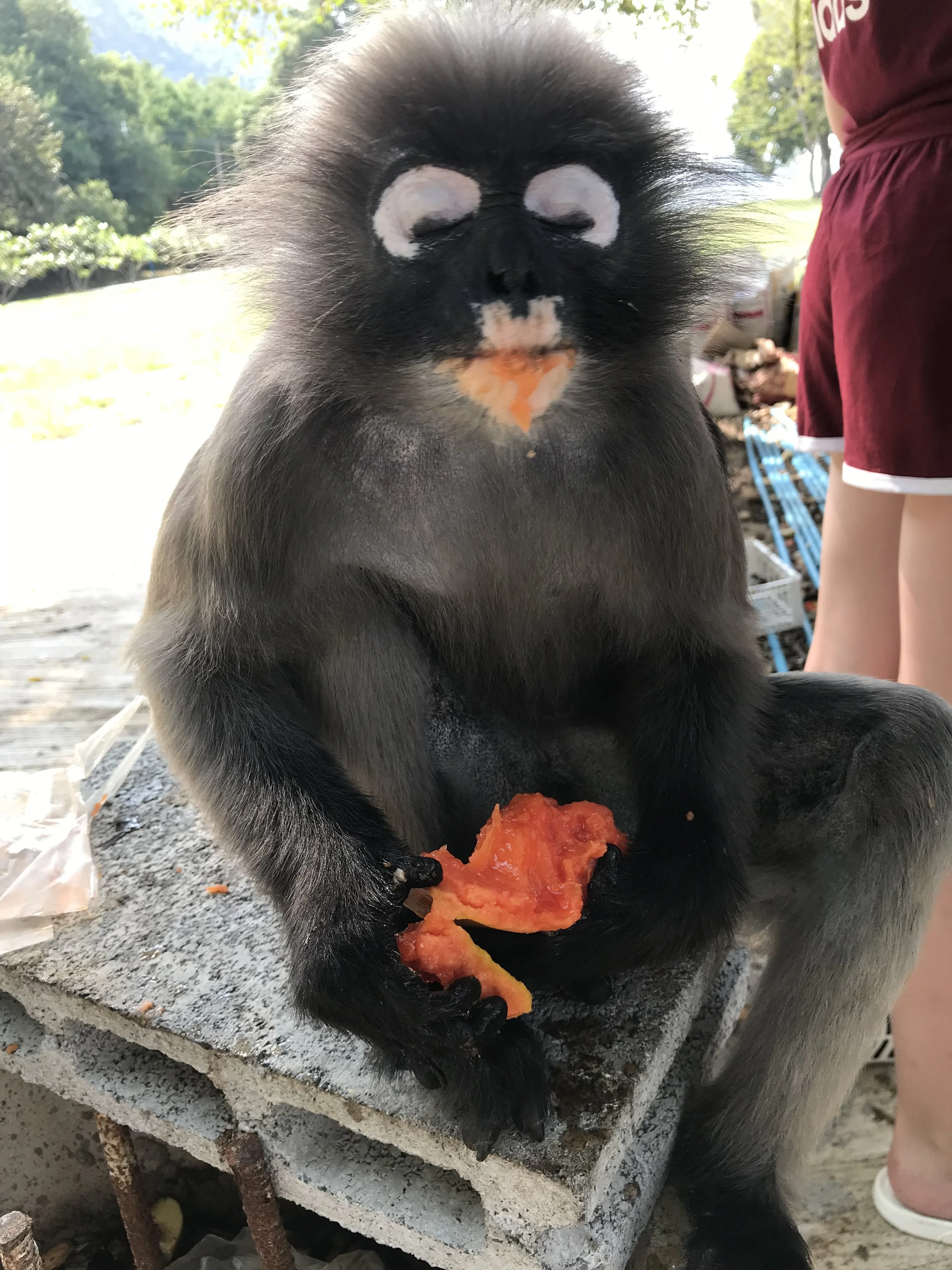 Prachuap Khiri Khan food adventures. 