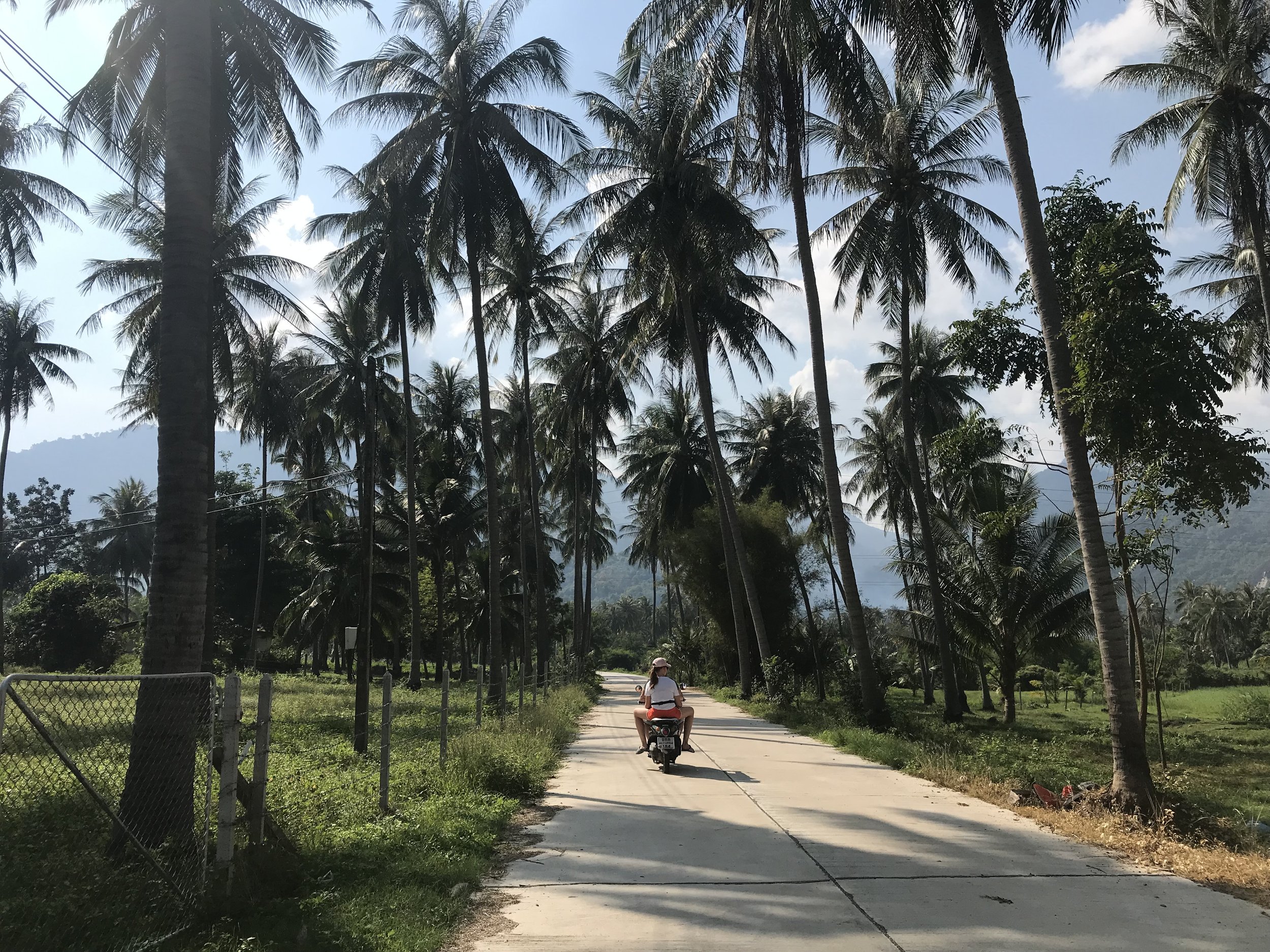 Exploring the countryside to meet "the real Thailand". 