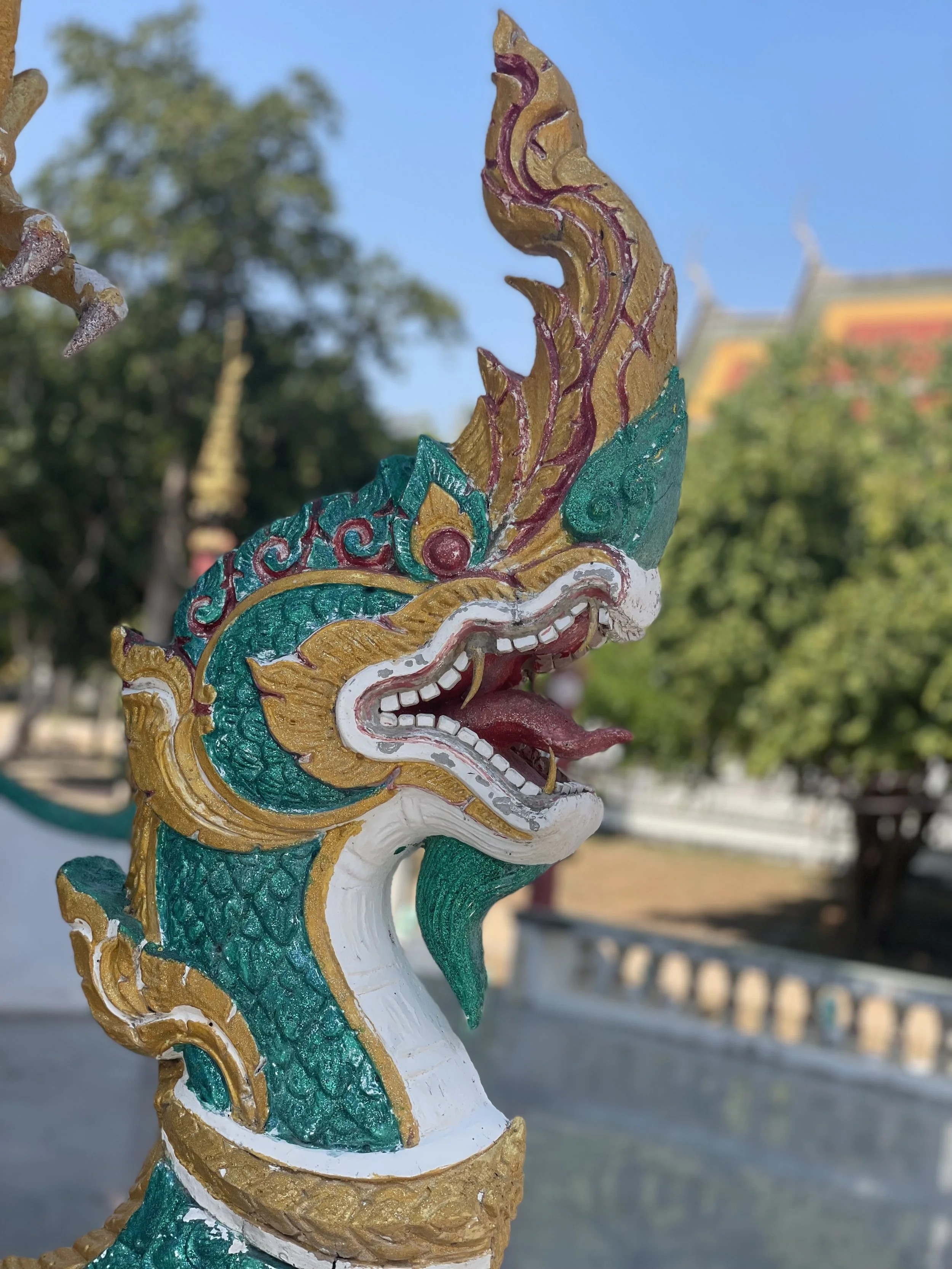 IMG_8605.jpeg