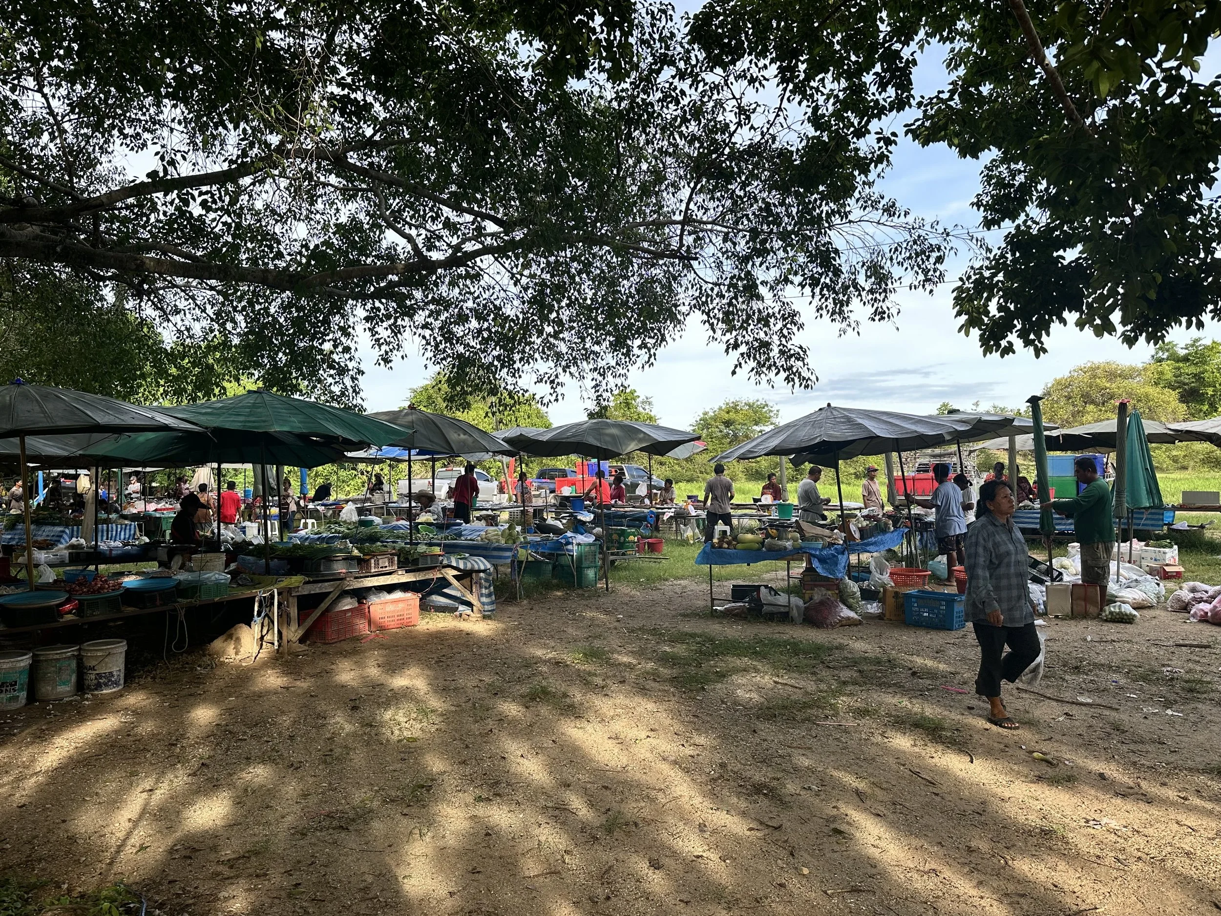 A local market south of Huay Yang. 