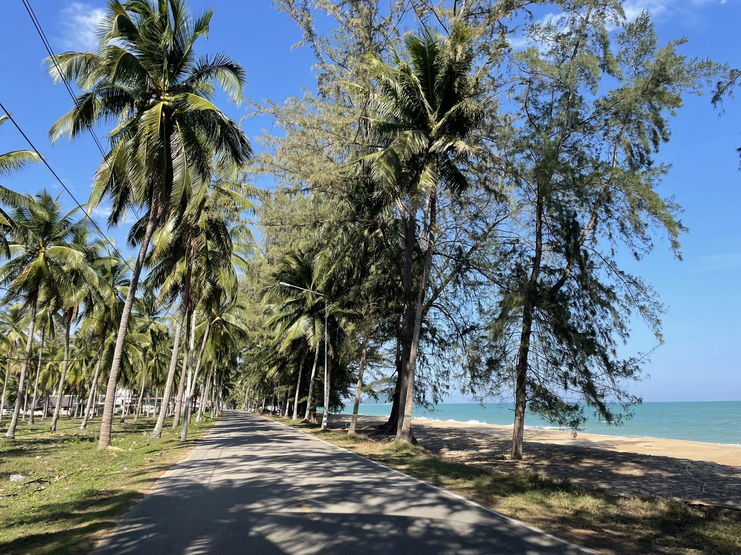 A day trip south to Bank Rut. Ride along the beach. 