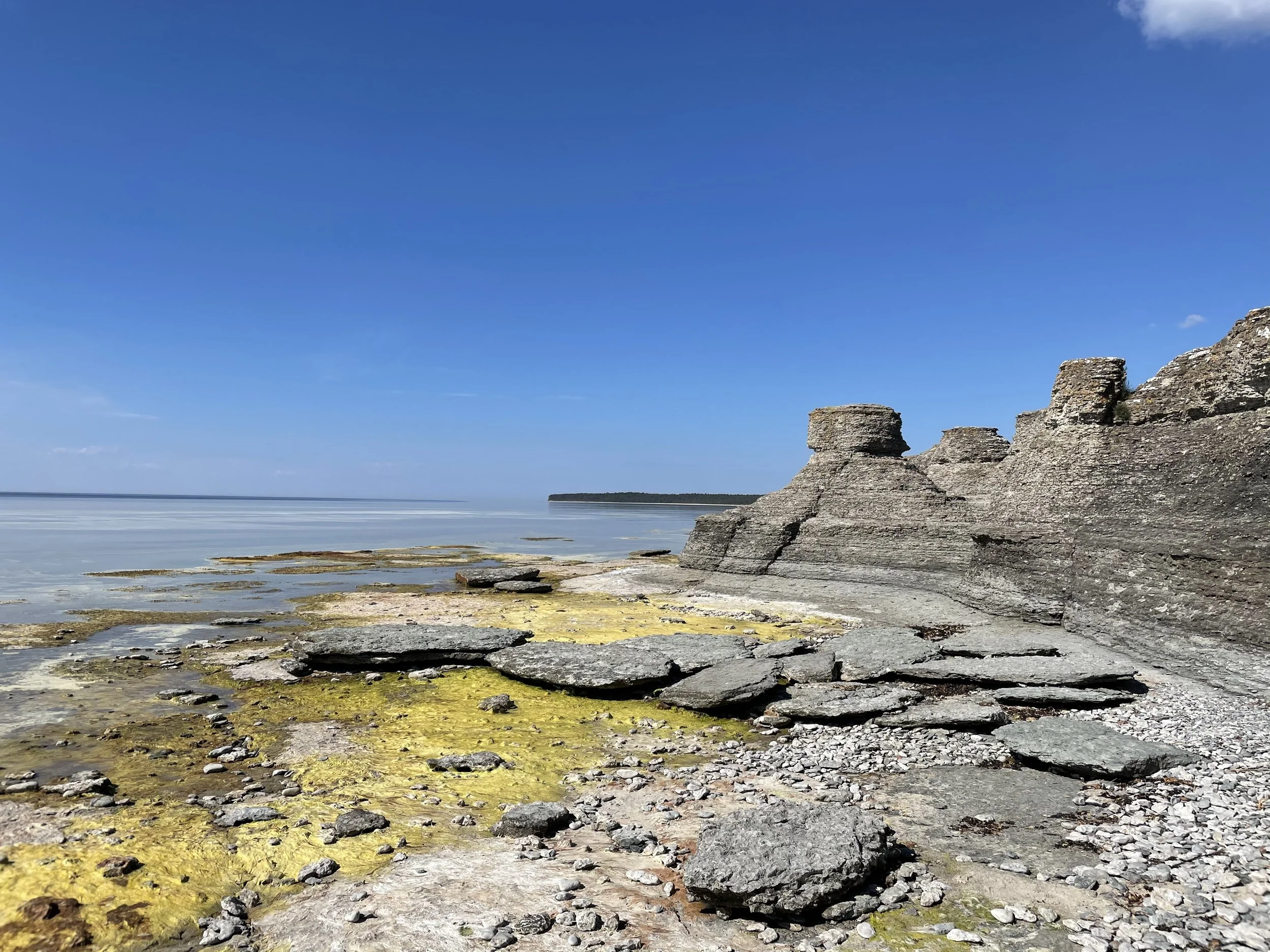 Öland's raukar beach in Sweden in the summer with blue sky