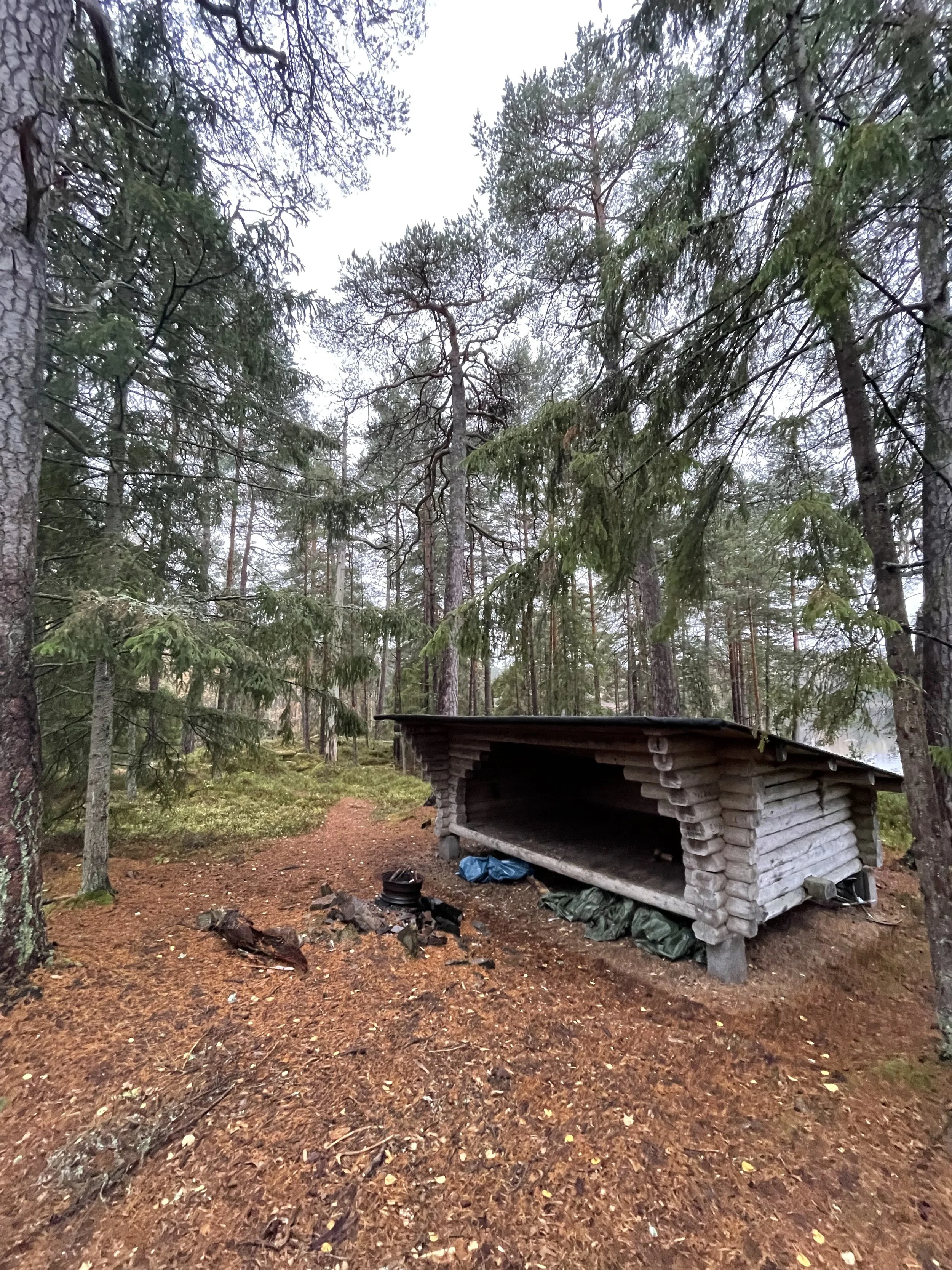 A wooden wind shield for overnight stay. You often find them by a lake with a dedicated fireplace.
