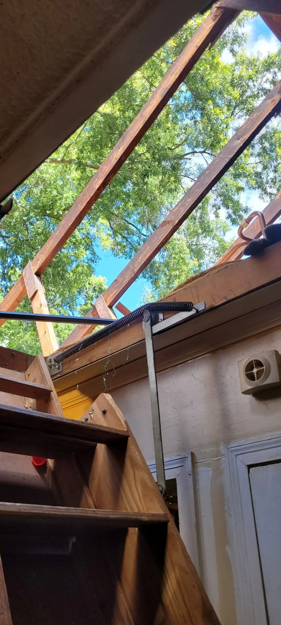  Looking out the top of the house after discovering the entire roof was rotten.  