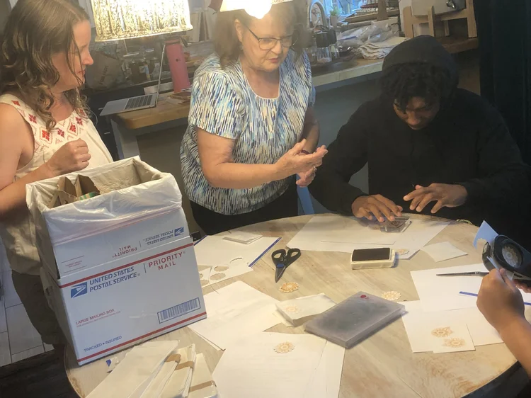 Students packaging sunflower seeds they harvested from the flowers