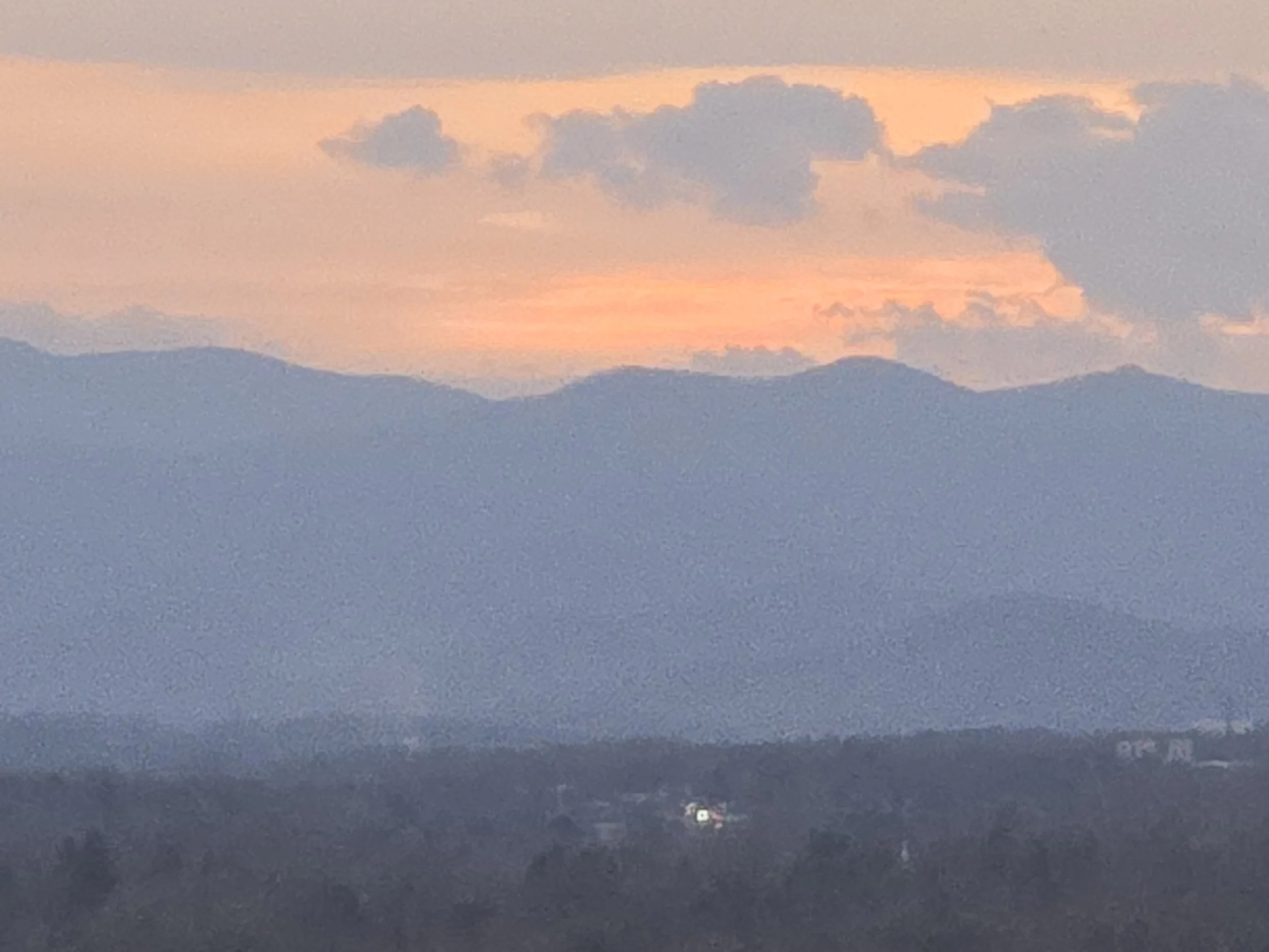20251120_164723.jpg