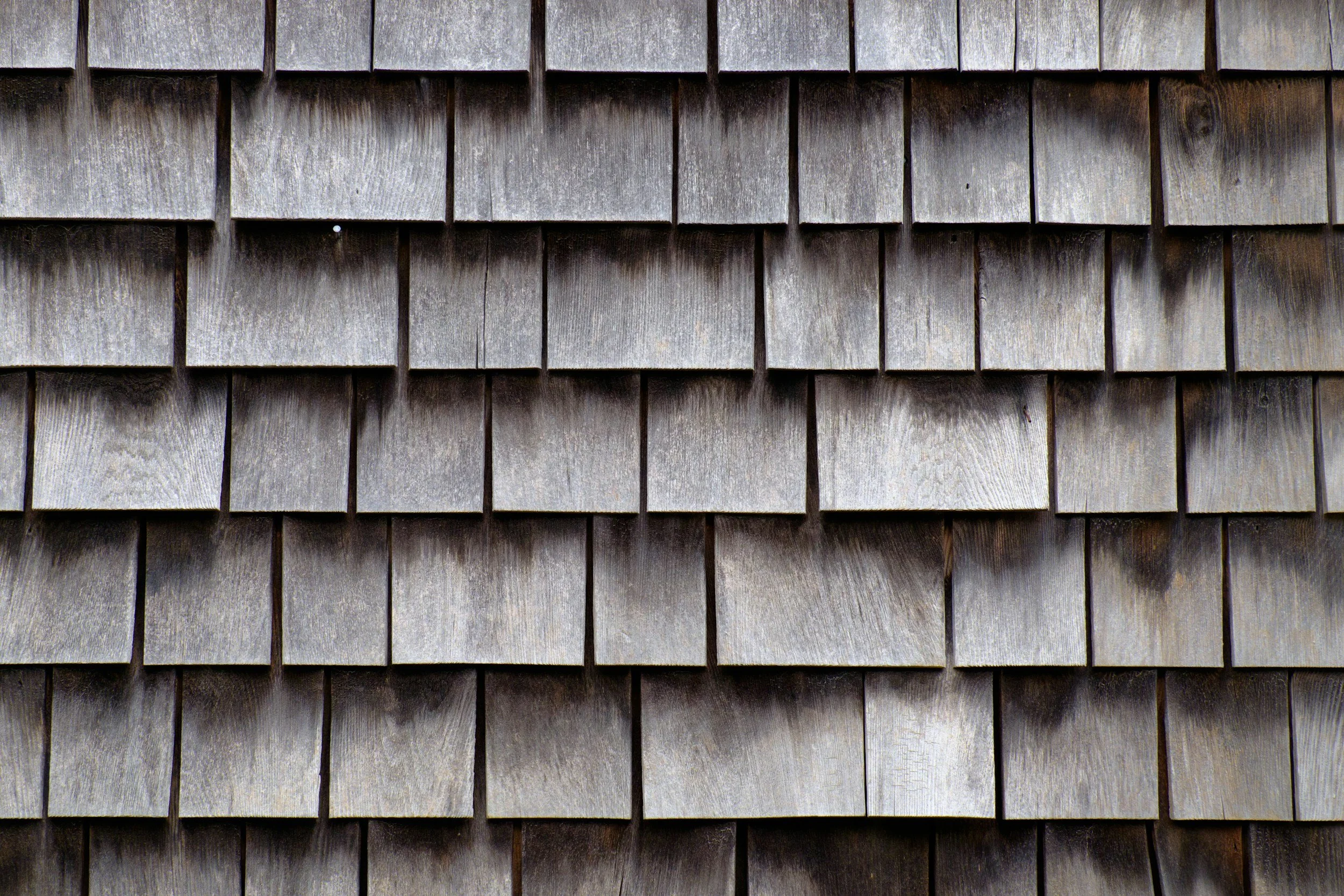 unsplash-image-l3lQZ4m9GEE.jpg