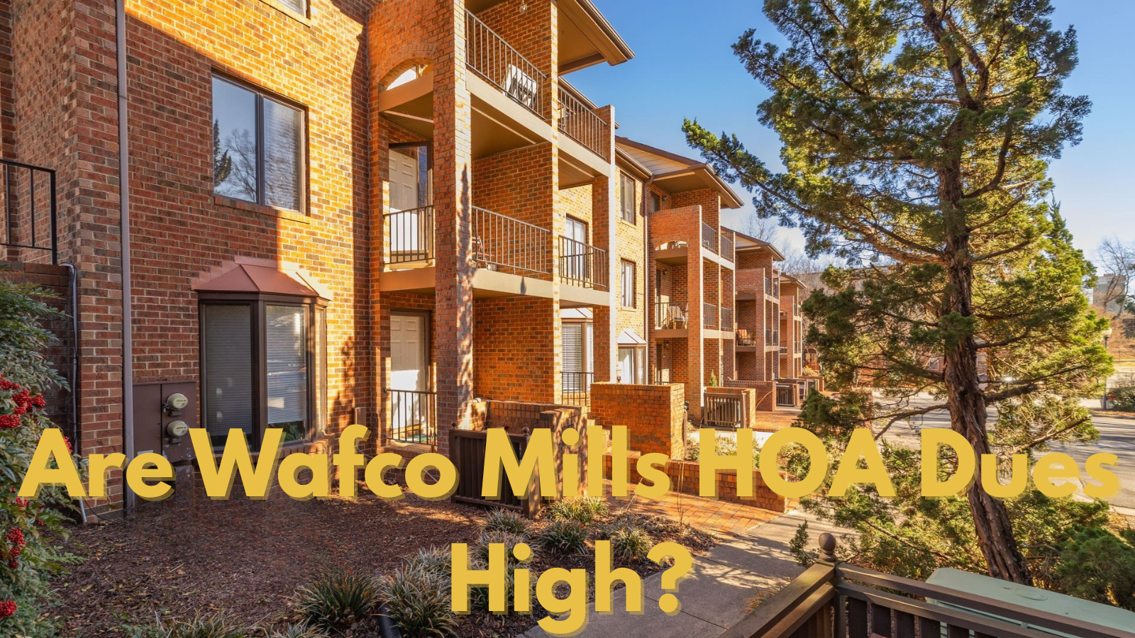 Are Wafco Mills HOA Dues High?