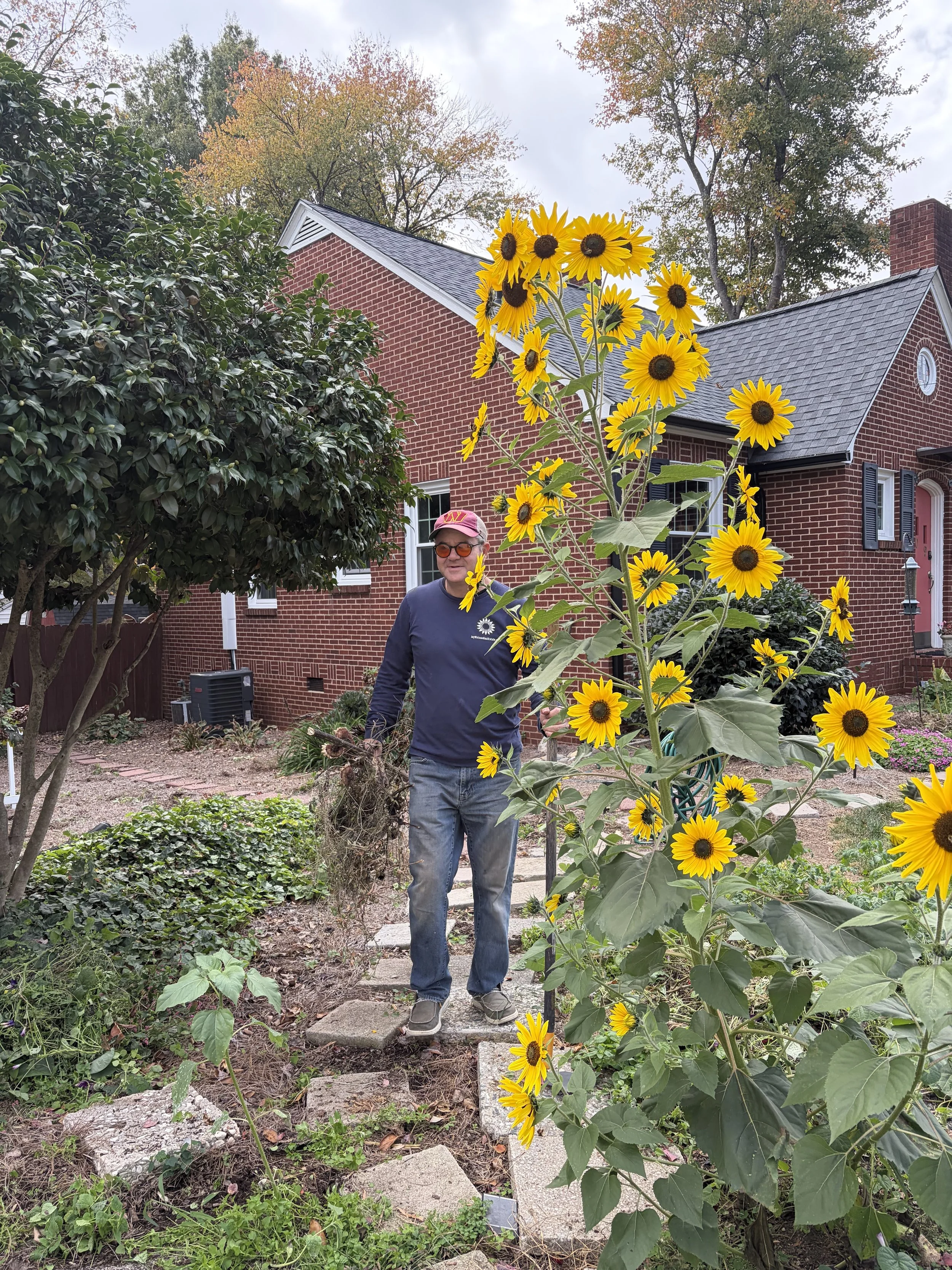 Walking Through History: Wendover Avenue in Greensboro and the Long Awaited Sidewalk Improvements from Grecade Street to Church Street